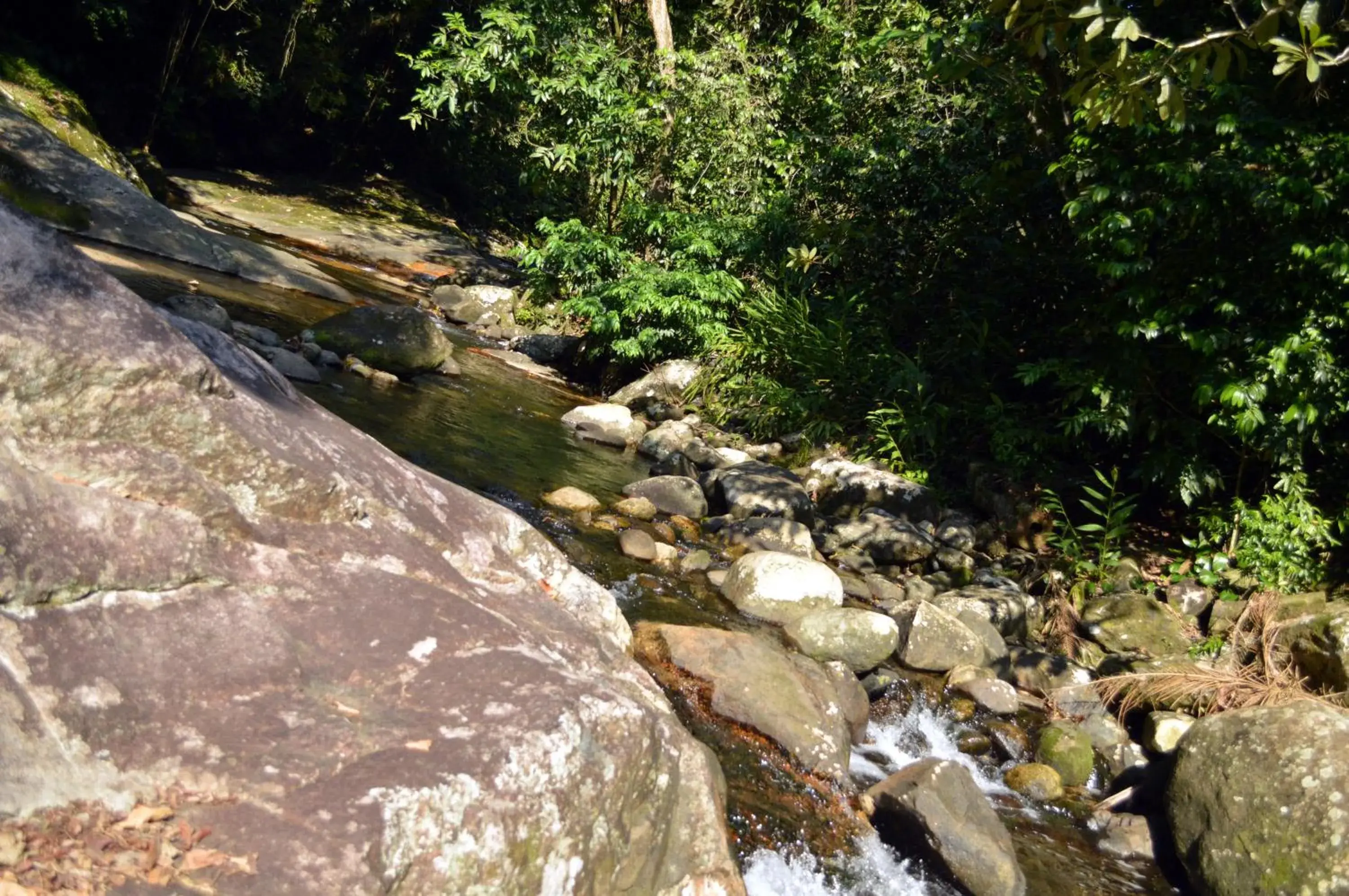 Natural landscape in Hotel Portobello Resort & Safari