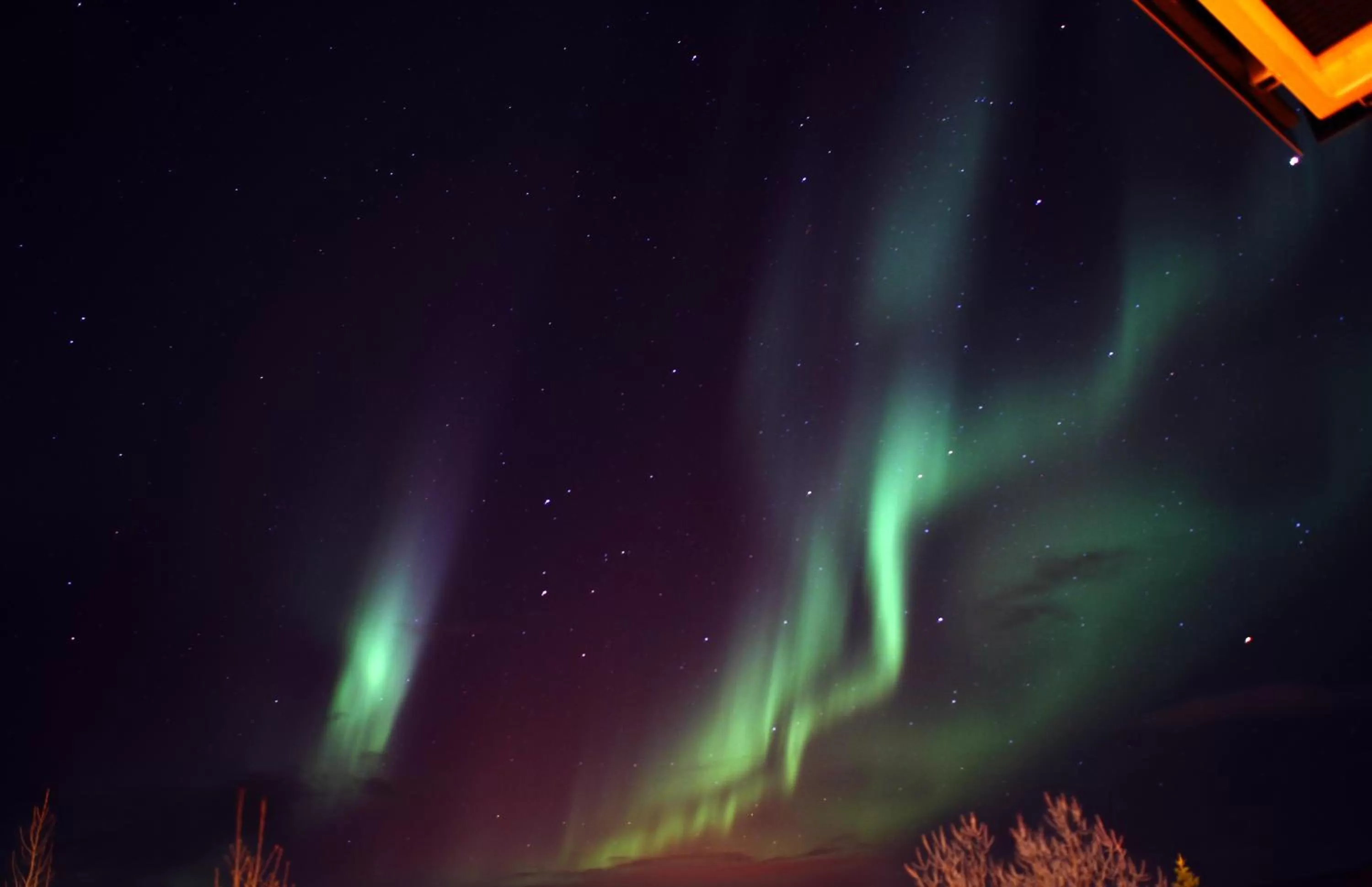 View (from property/room) in Hotel Laxnes