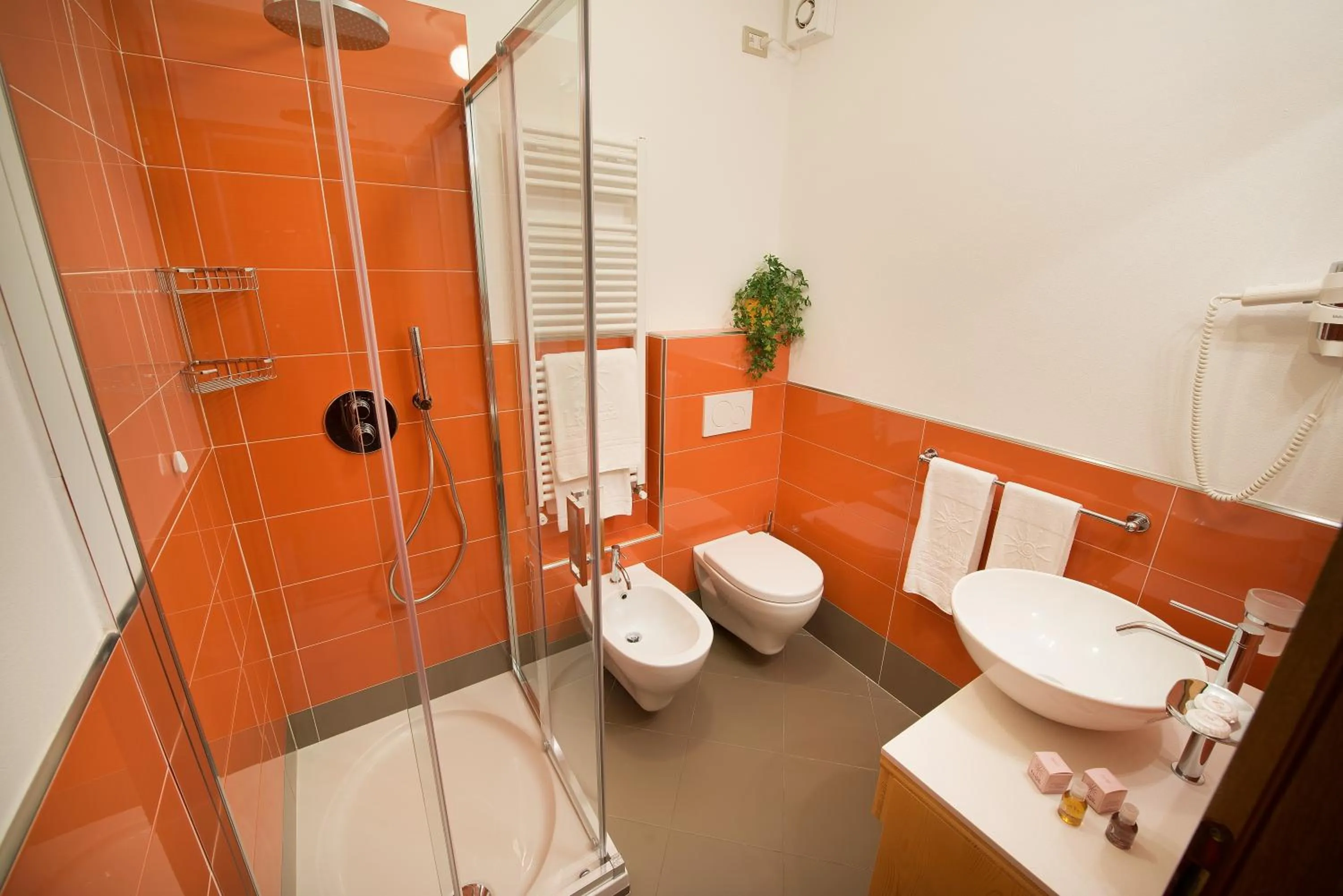 Bathroom in Hotel Livigno