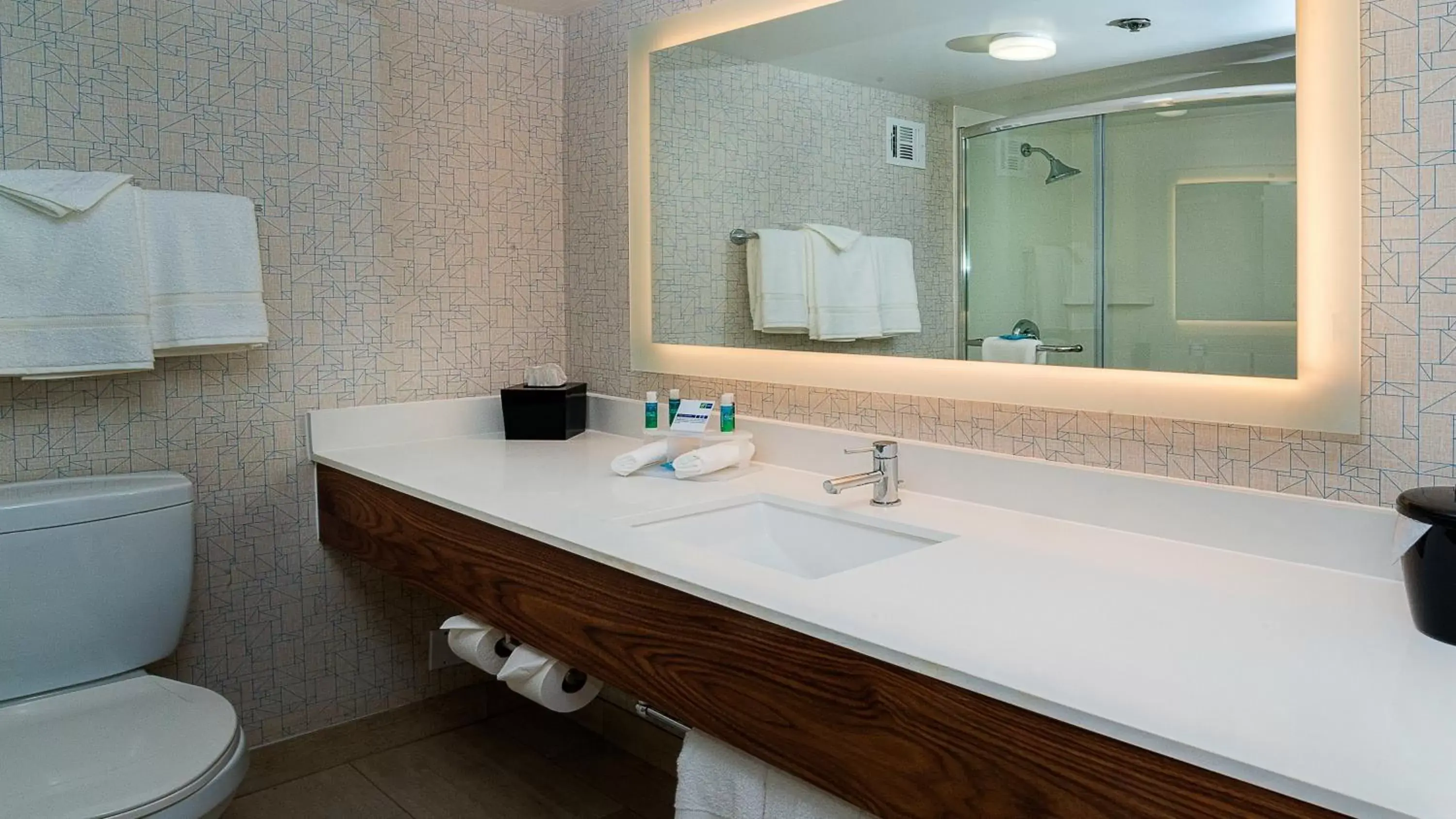Bathroom in Holiday Inn Express Fullerton-Anaheim, an IHG Hotel