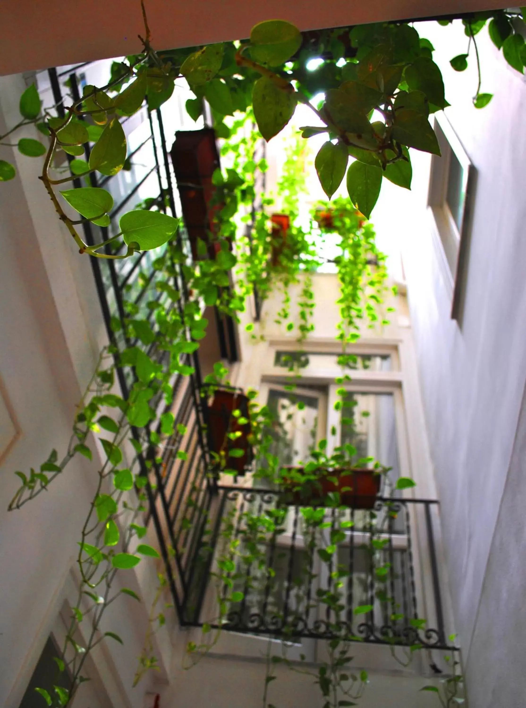 Decorative detail, Balcony/Terrace in B&B Ai Tintori