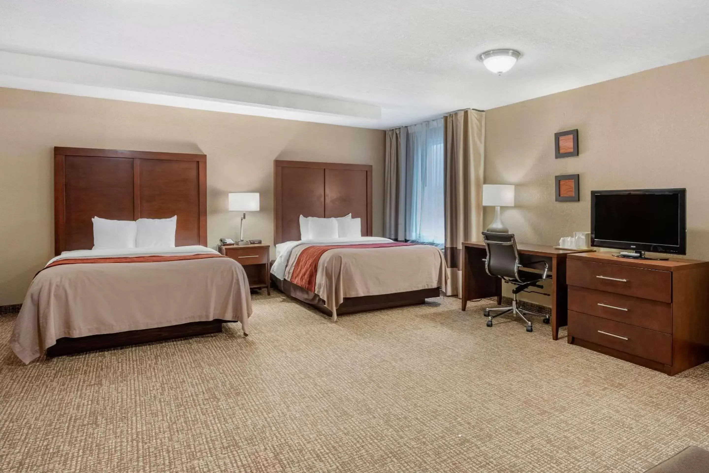 Photo of the whole room, Bed in Comfort Inn Splash Harbor