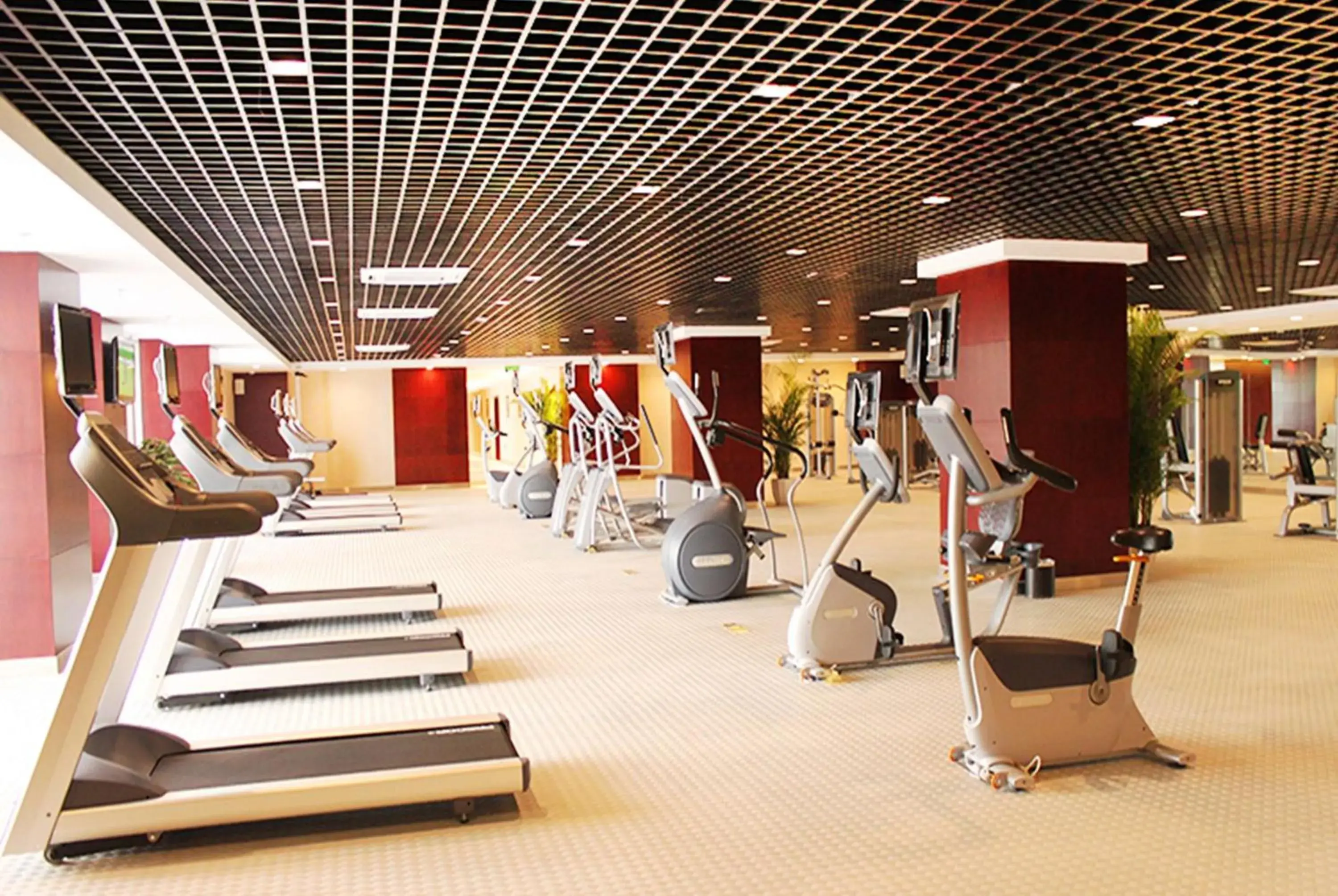 Fitness centre/facilities, Fitness Center/Facilities in Howard Johnson Tropical Garden Plaza Kunming