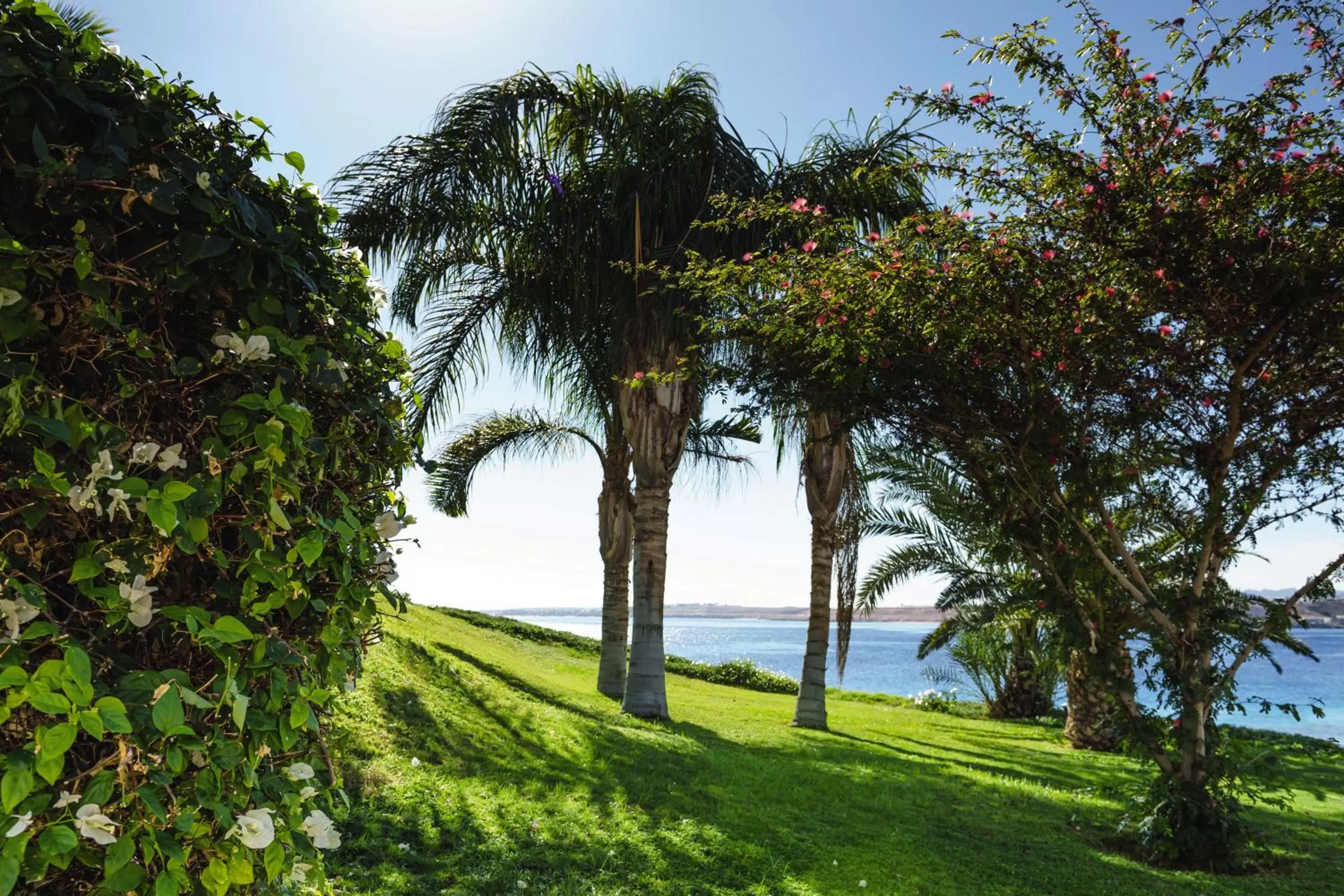 Garden in Movenpick Resort Sharm El Sheikh