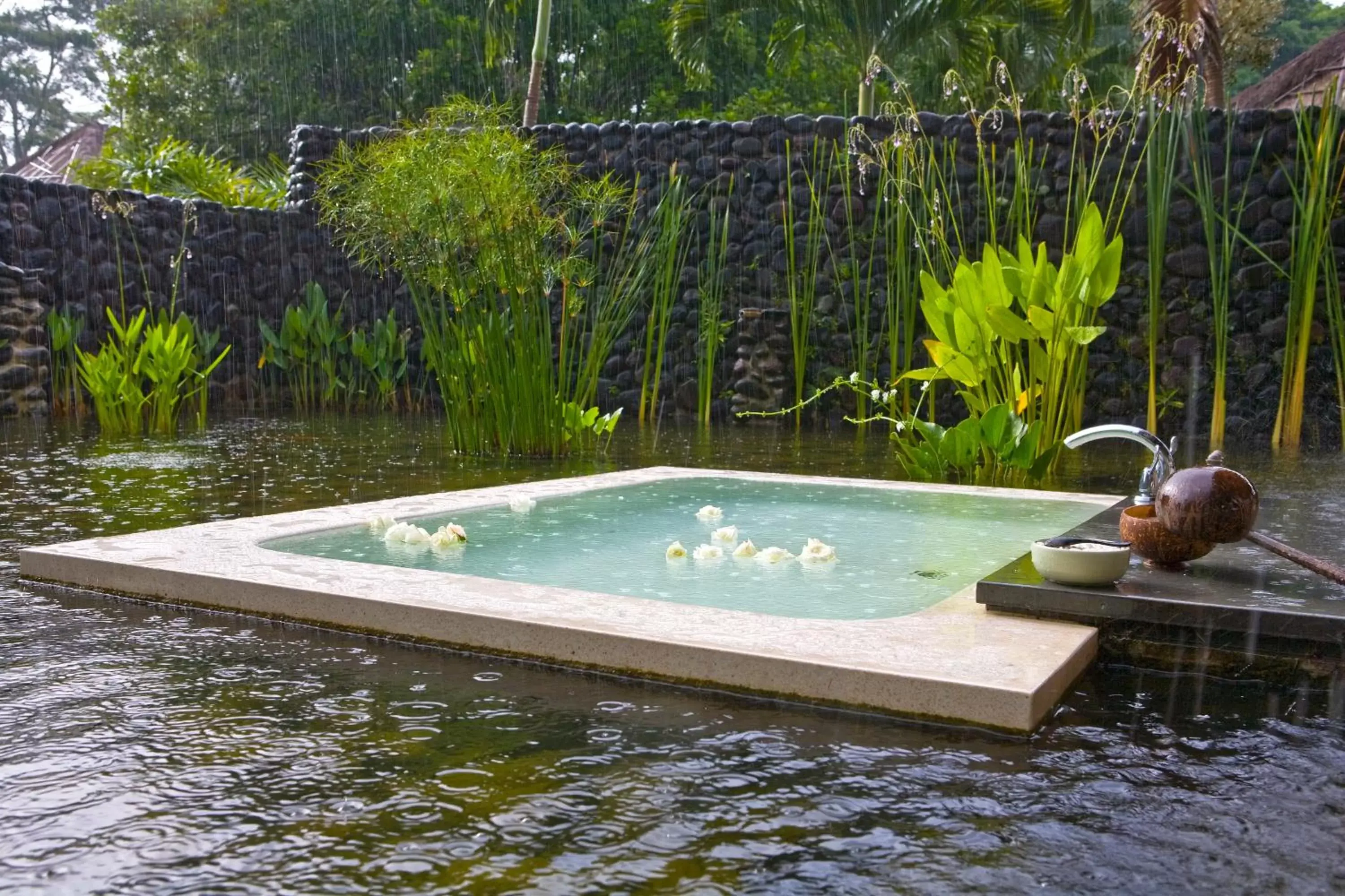 Bath, Swimming Pool in Alila Ubud