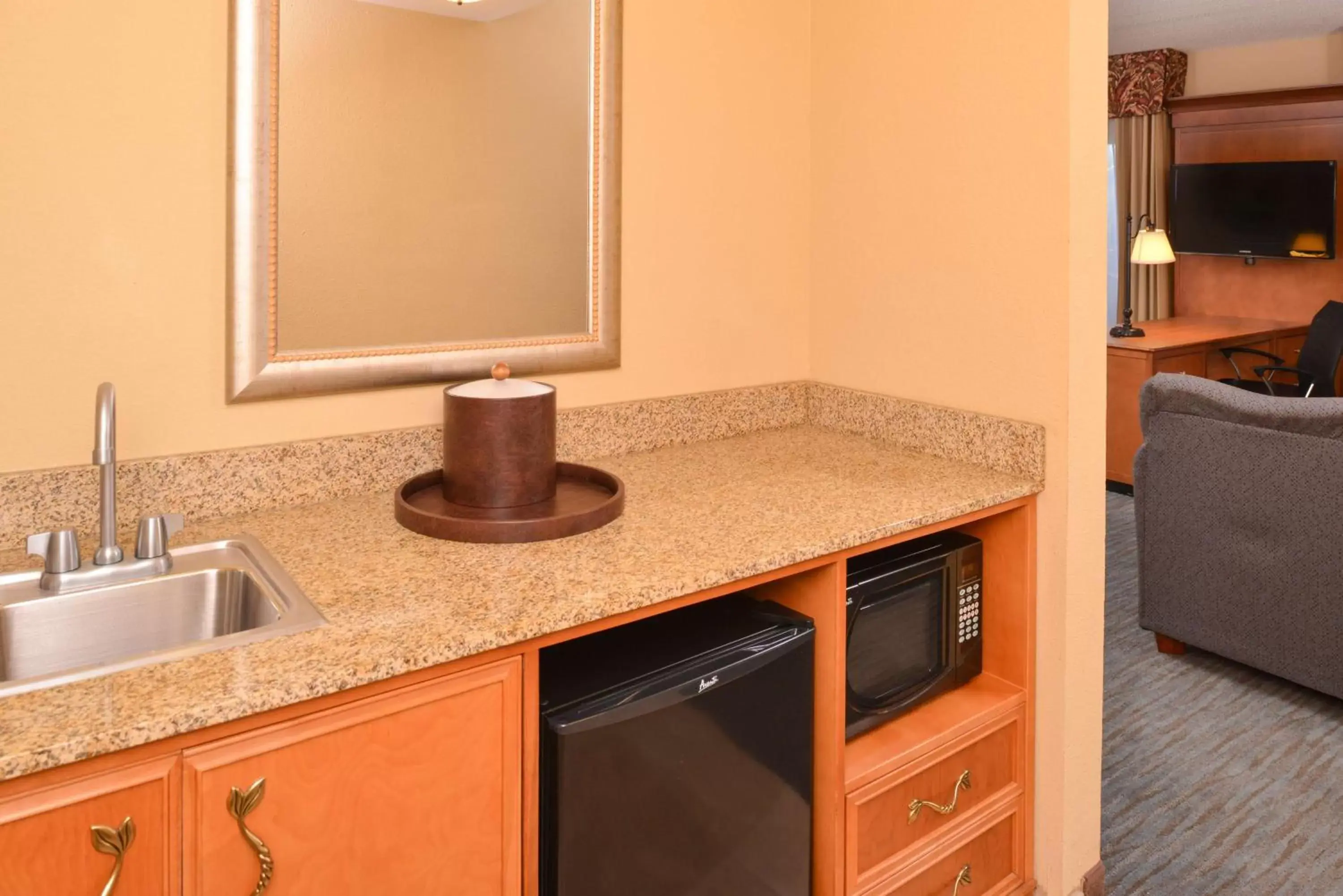 Bed, Kitchen/Kitchenette in Hampton Inn & Suites Tampa-East/Casino/Fairgrounds