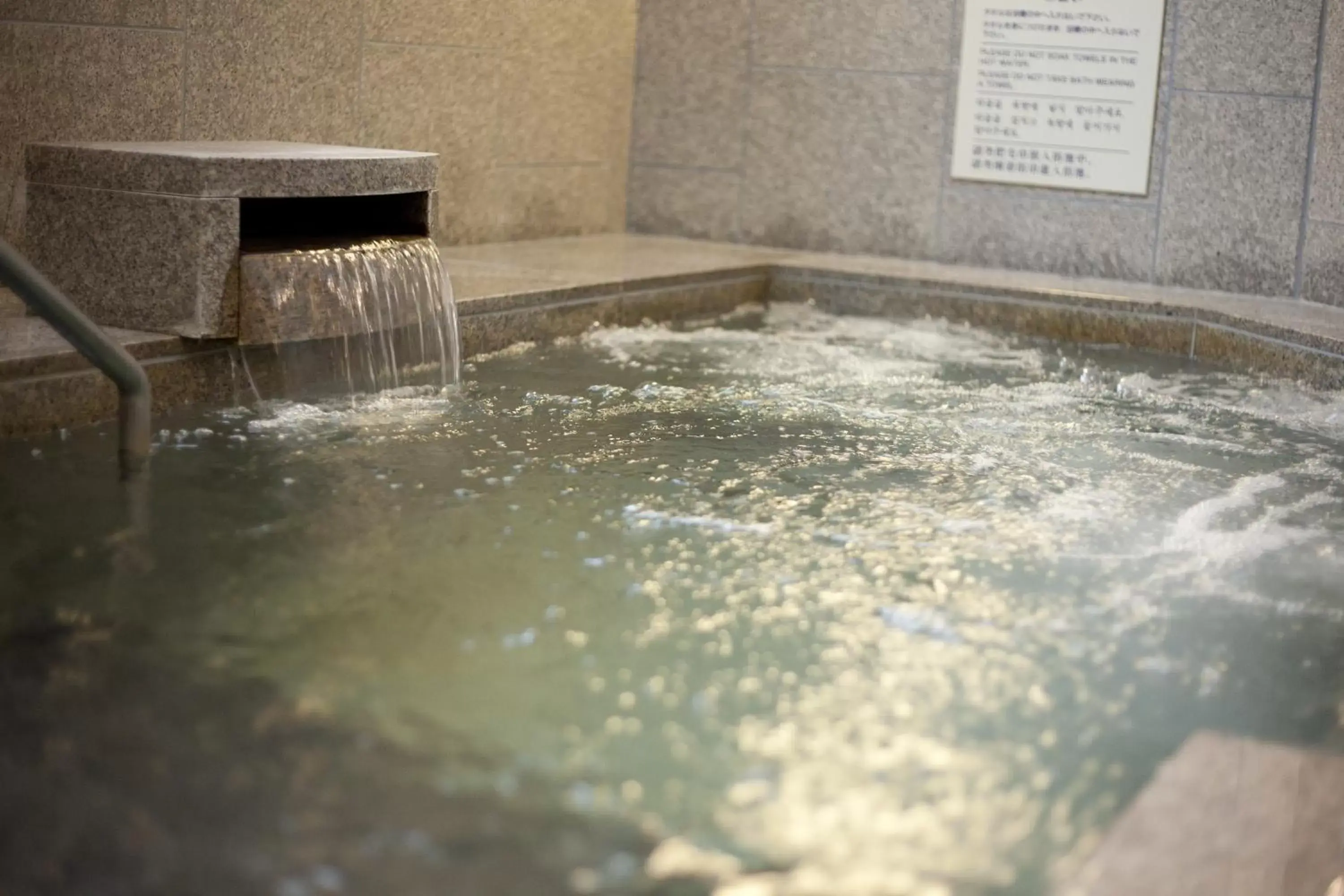 Hot Spring Bath, Swimming Pool in HOTEL MYSTAYS PREMIER Sapporo Park