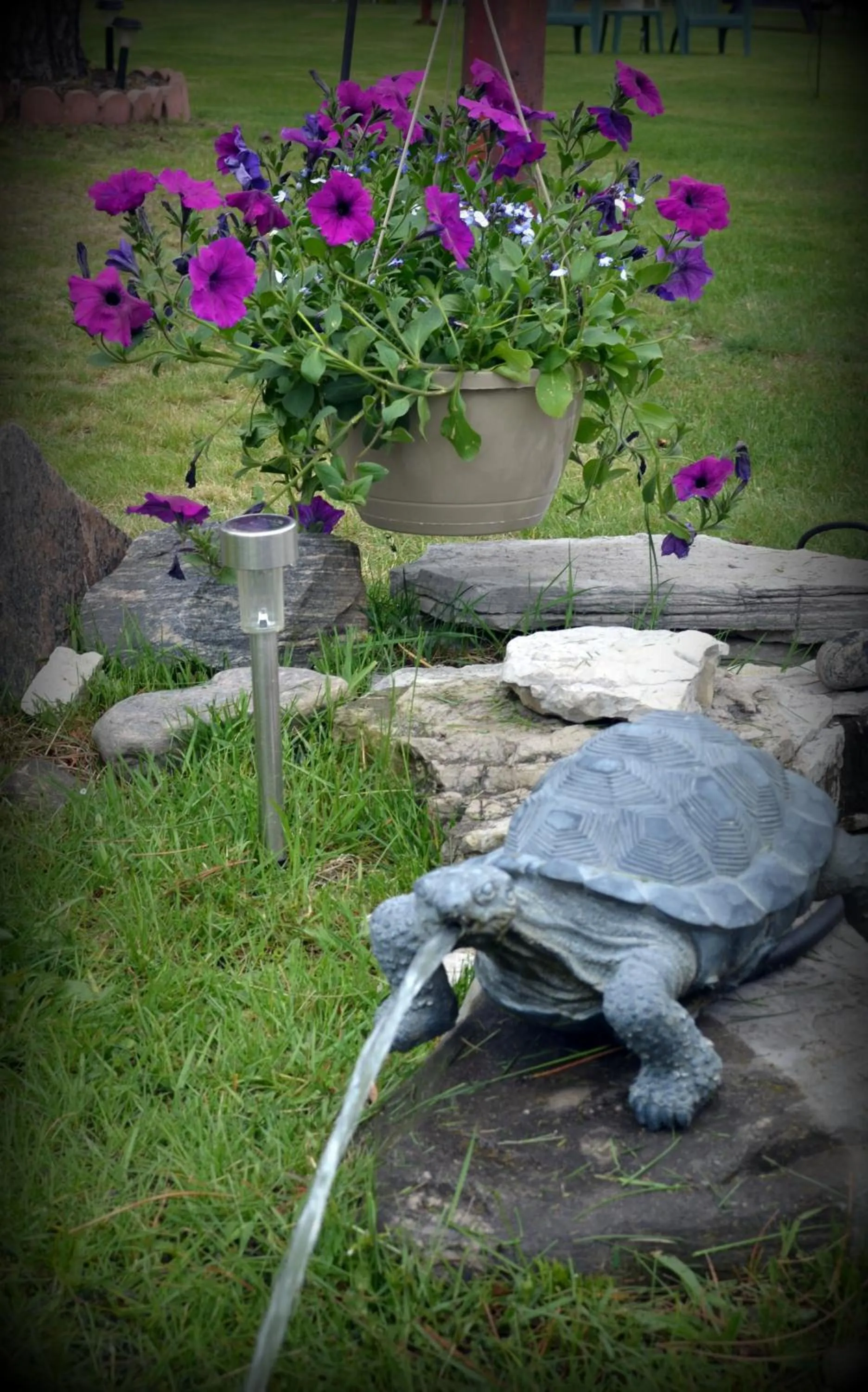 Decorative detail, Other Animals in Tulip Inn