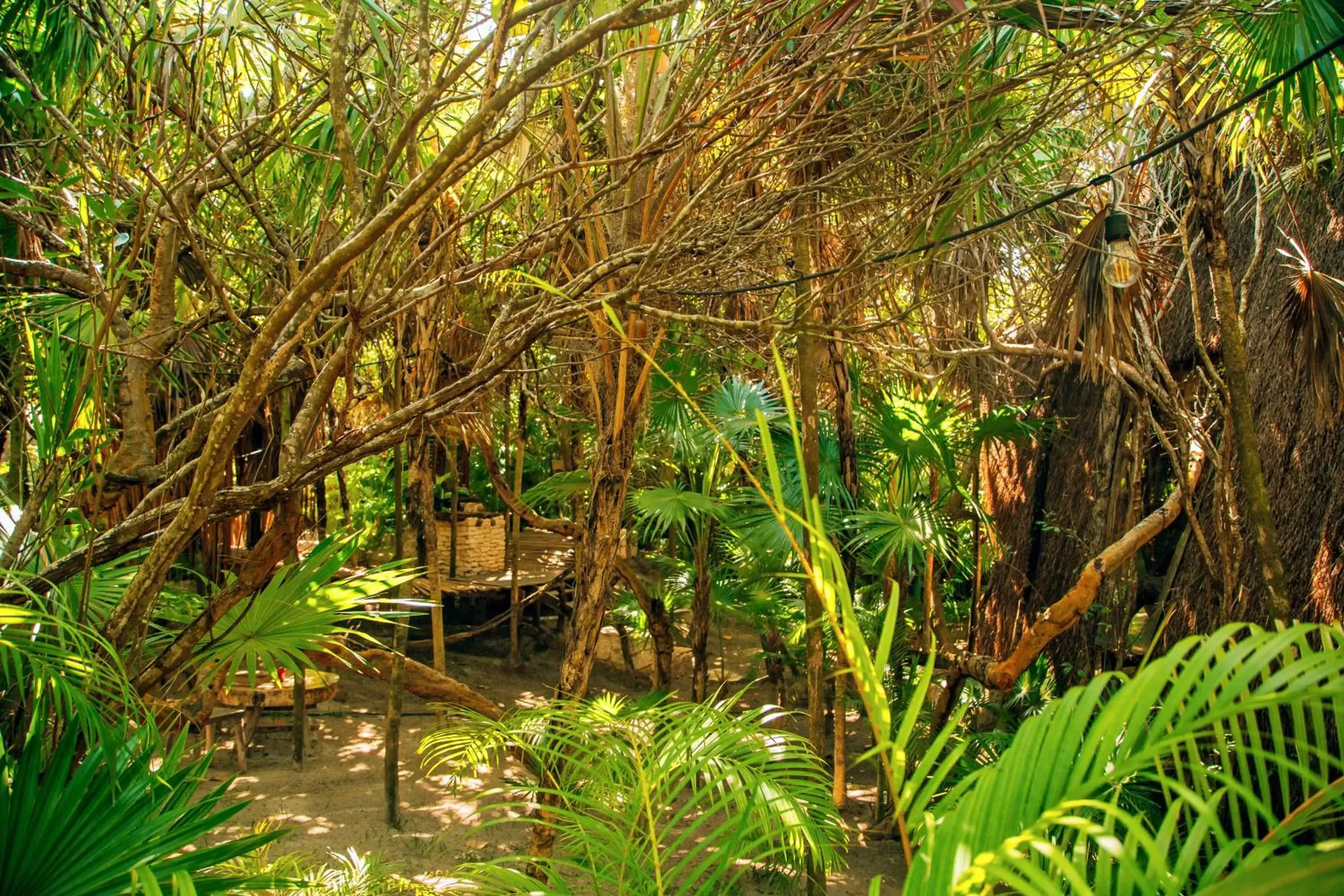 Garden in Ikal Tulum Hotel