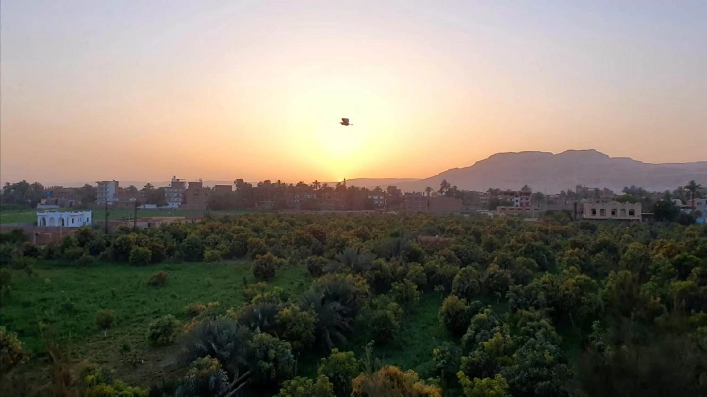 Sunset in Embrace Hotel