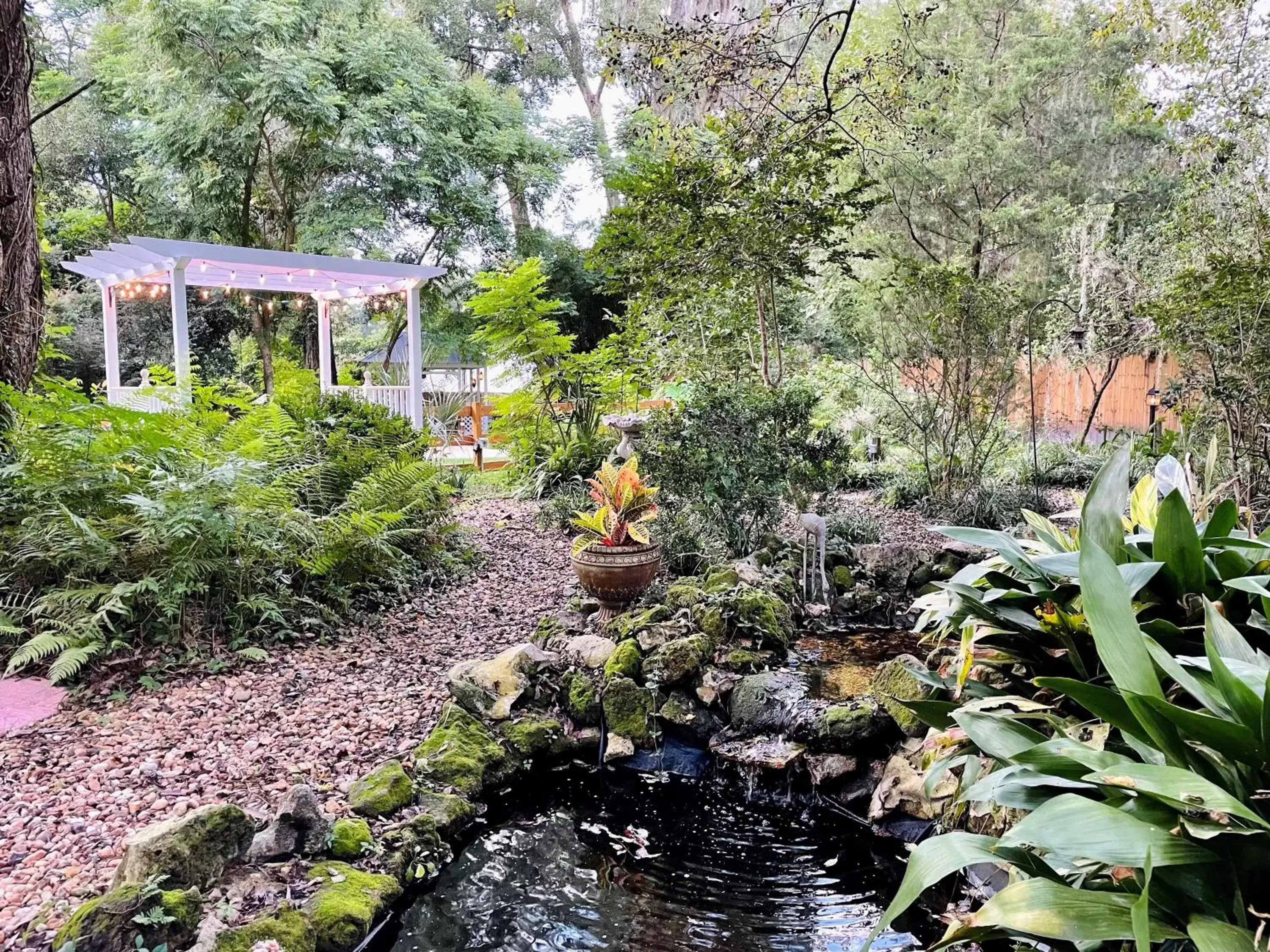 Garden in Grady House Bed and Breakfast