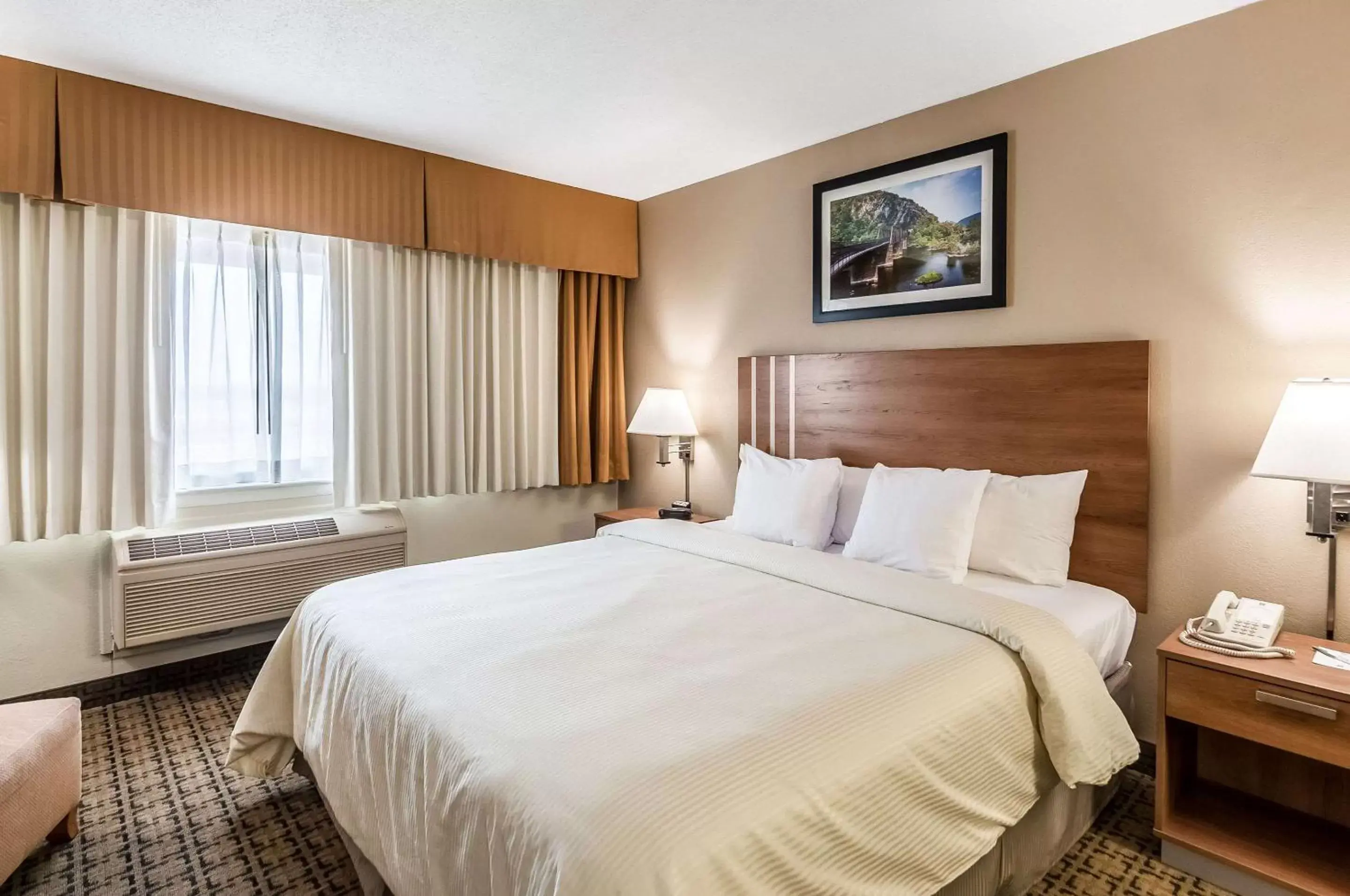 Photo of the whole room, Bed in Clarion Inn Harpers Ferry-Charles Town