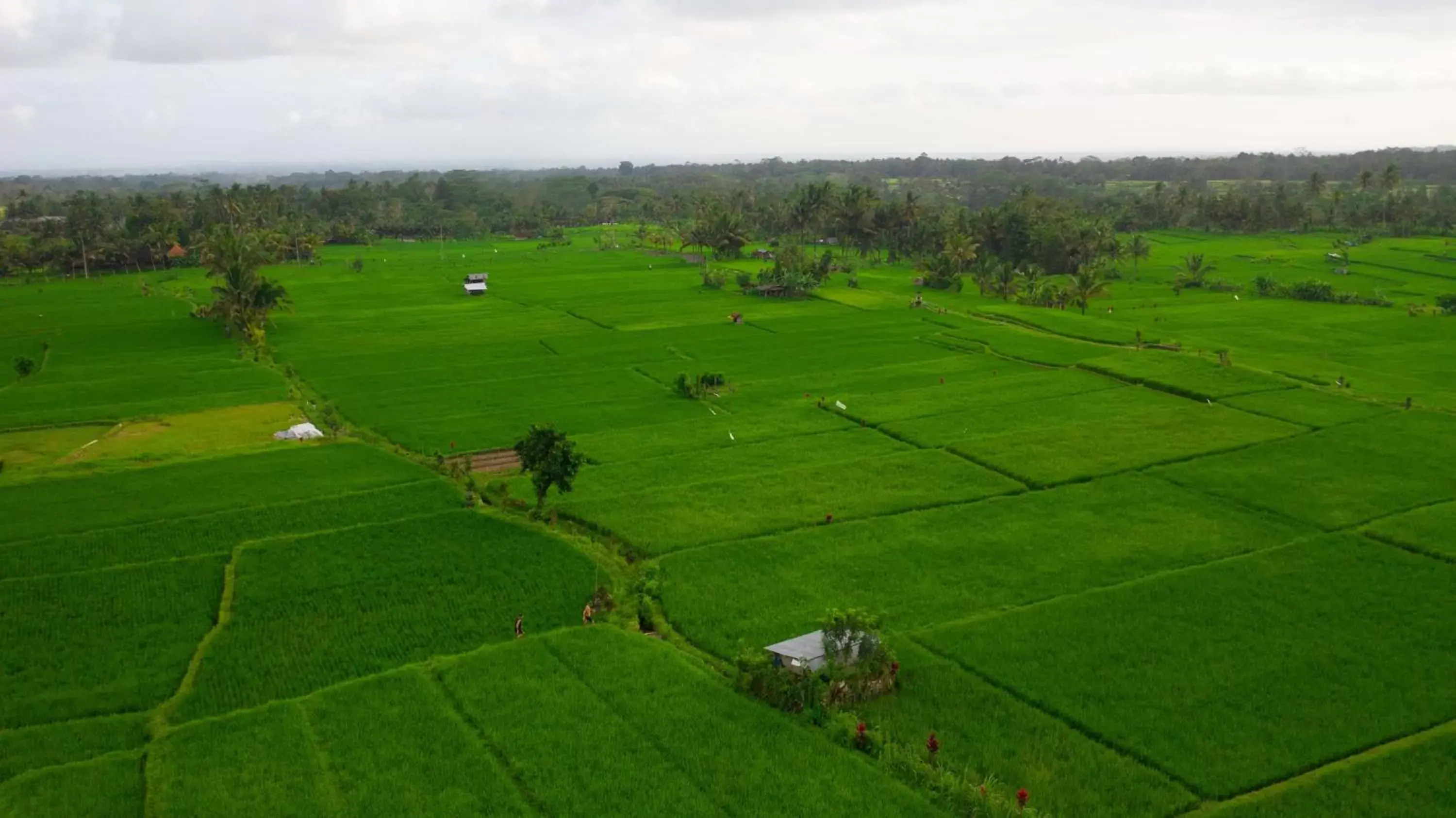 Location in Alila Ubud