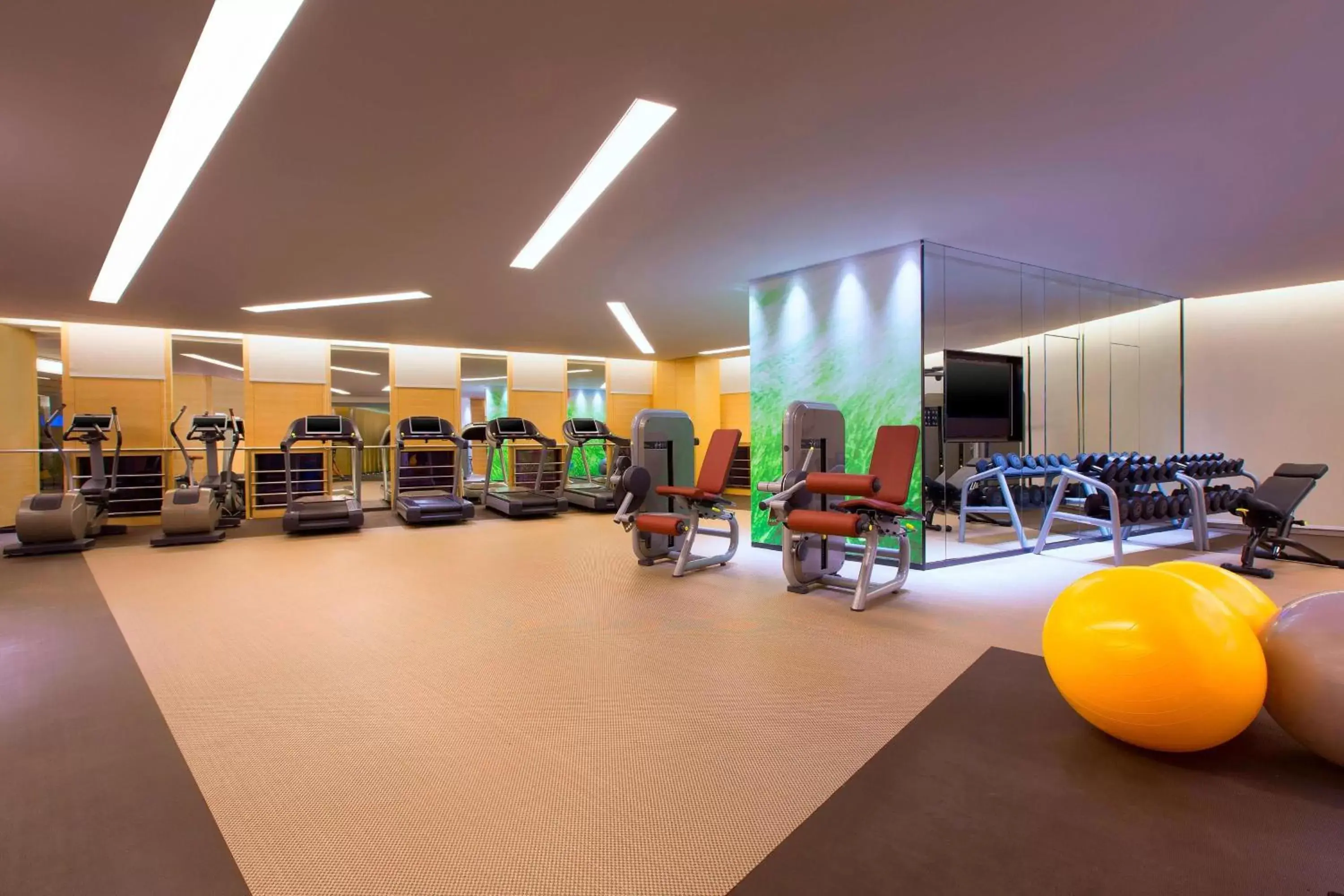 Fitness centre/facilities, Fitness Center/Facilities in The Westin Chongqing Liberation Square