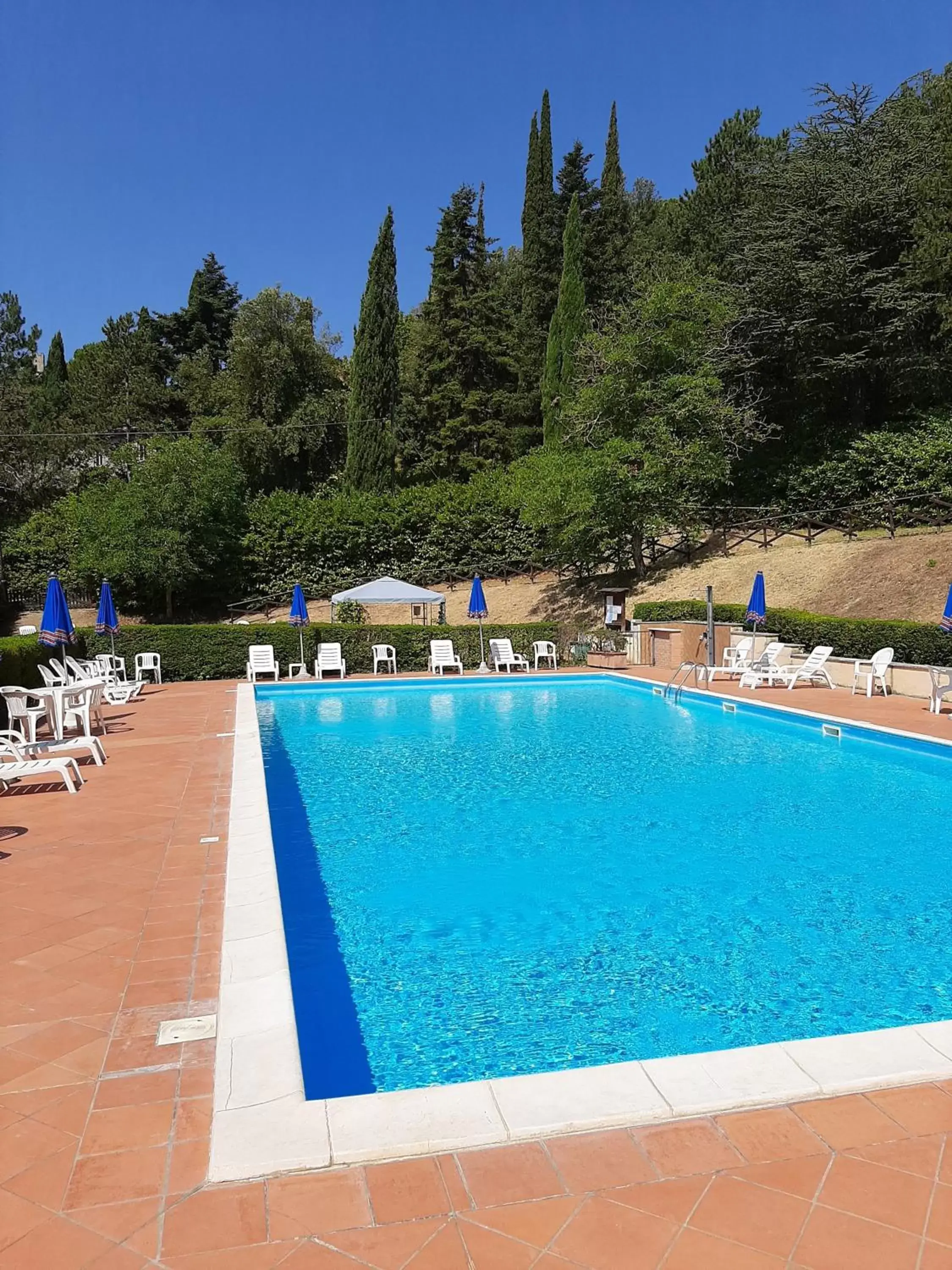 Swimming Pool in Castello Di Giomici