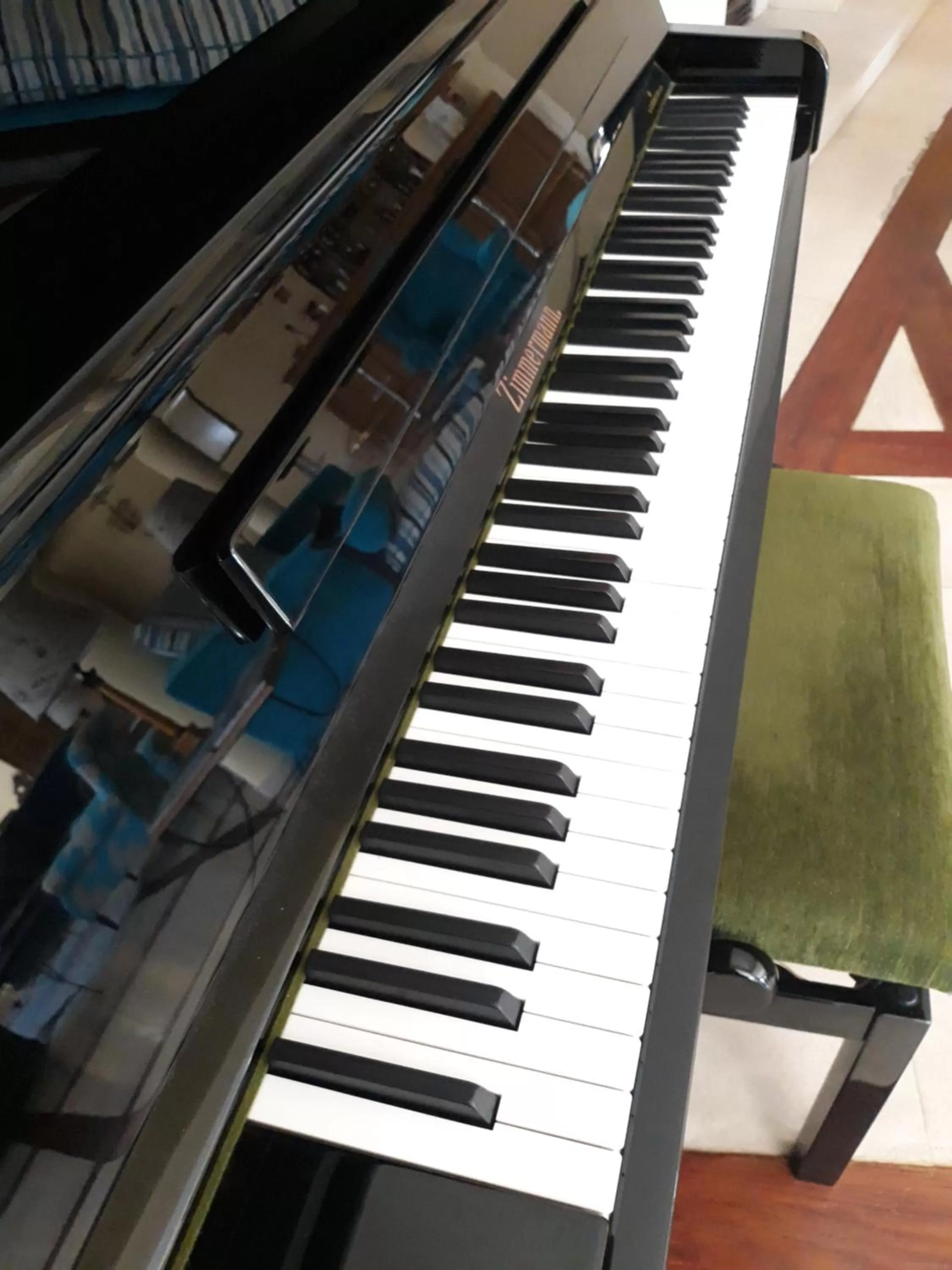 Entertainment in Hotel Dom Vasco