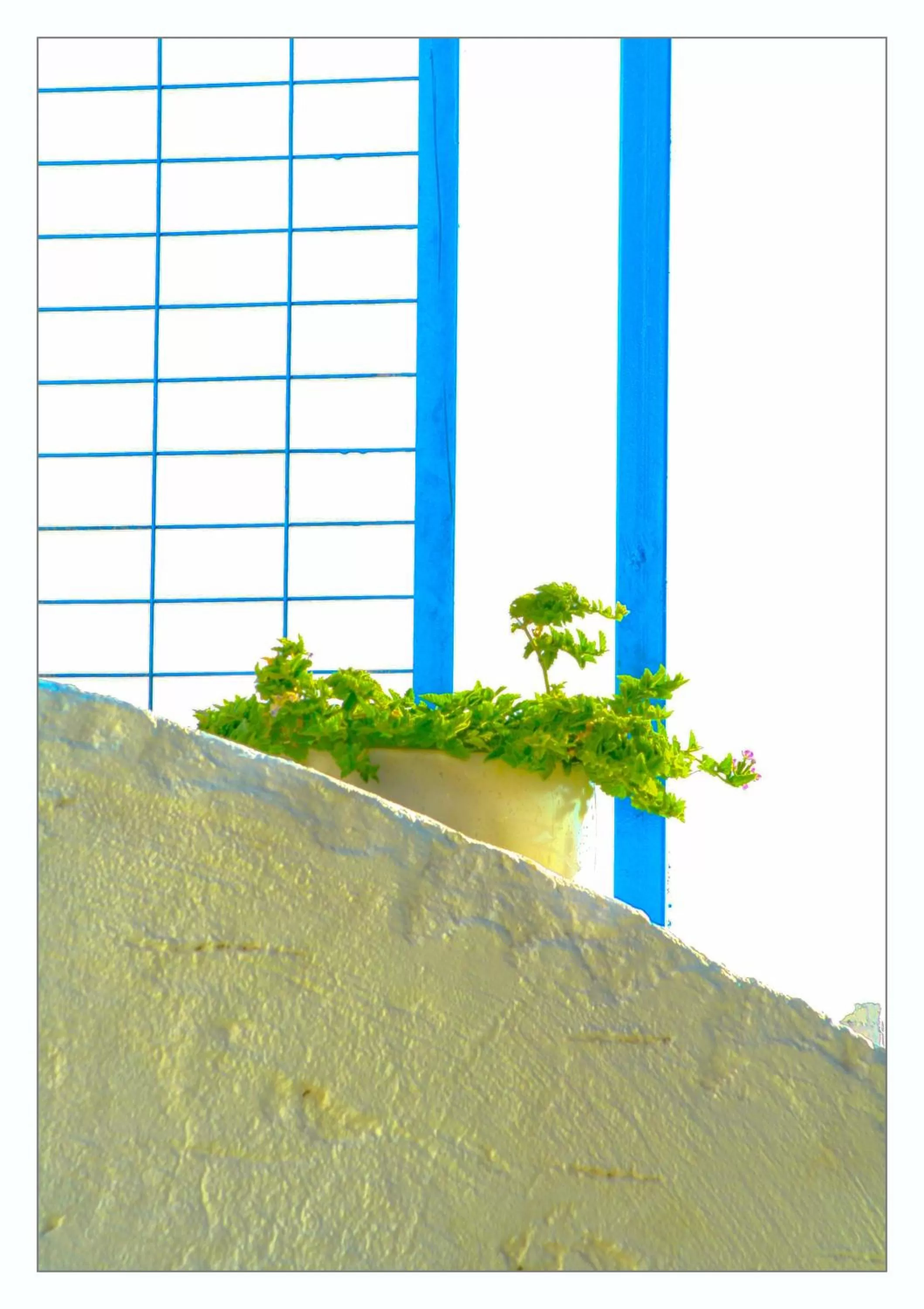 Decorative detail in Bella Vista Stegna