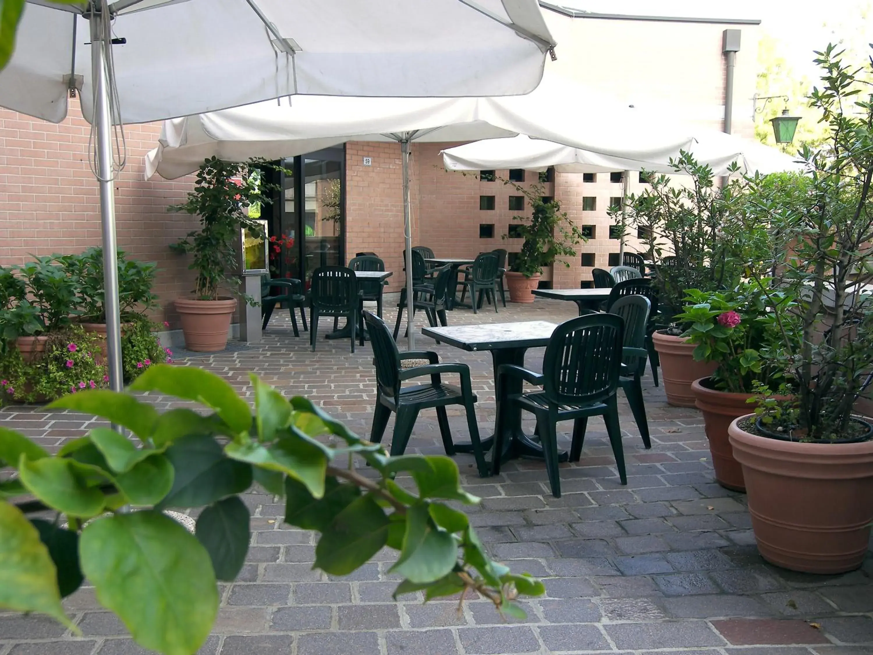 Patio, Restaurant/Places to Eat in Hotel President