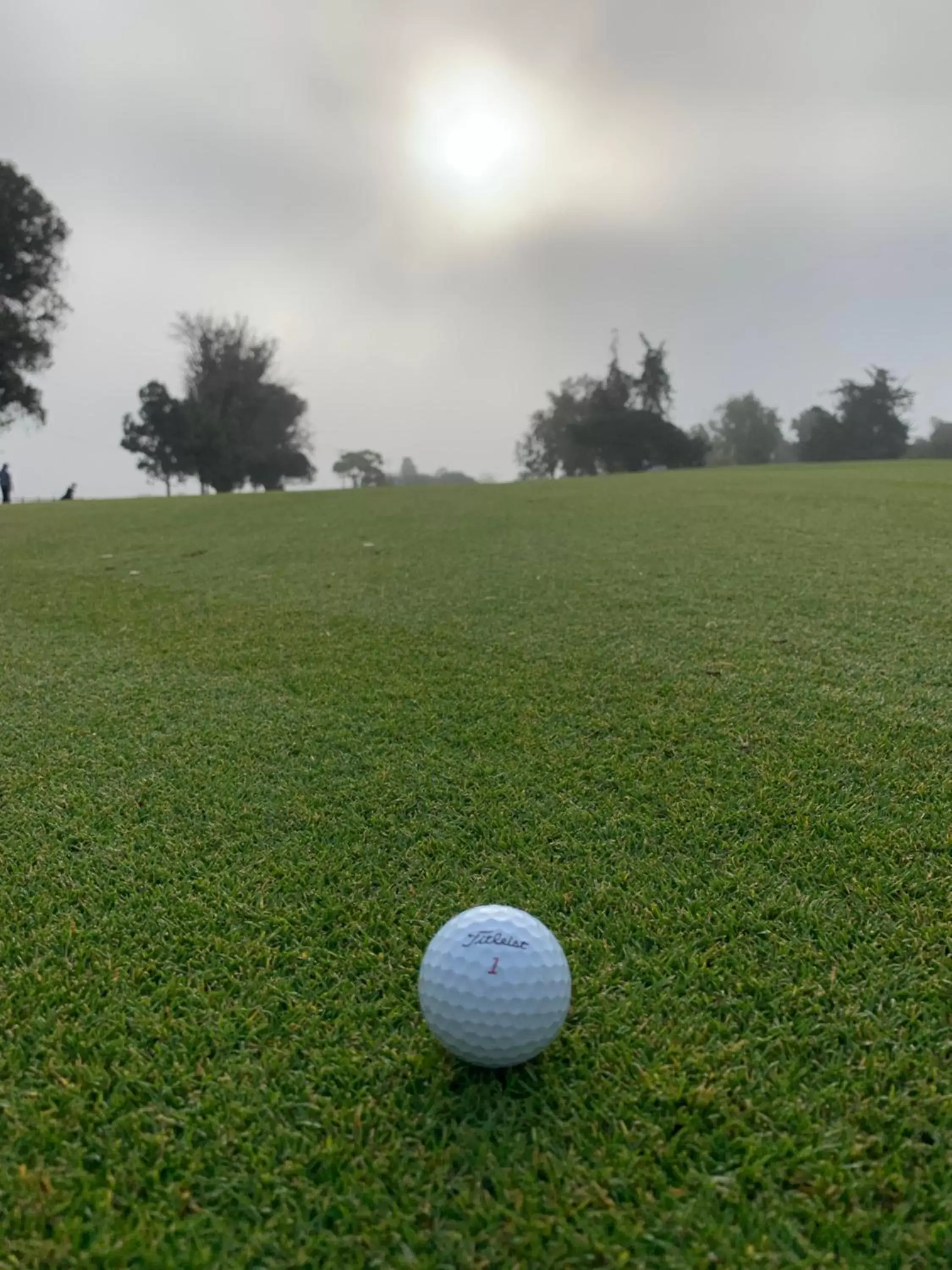 Golfcourse, Golf in Crystal Lodge Motel