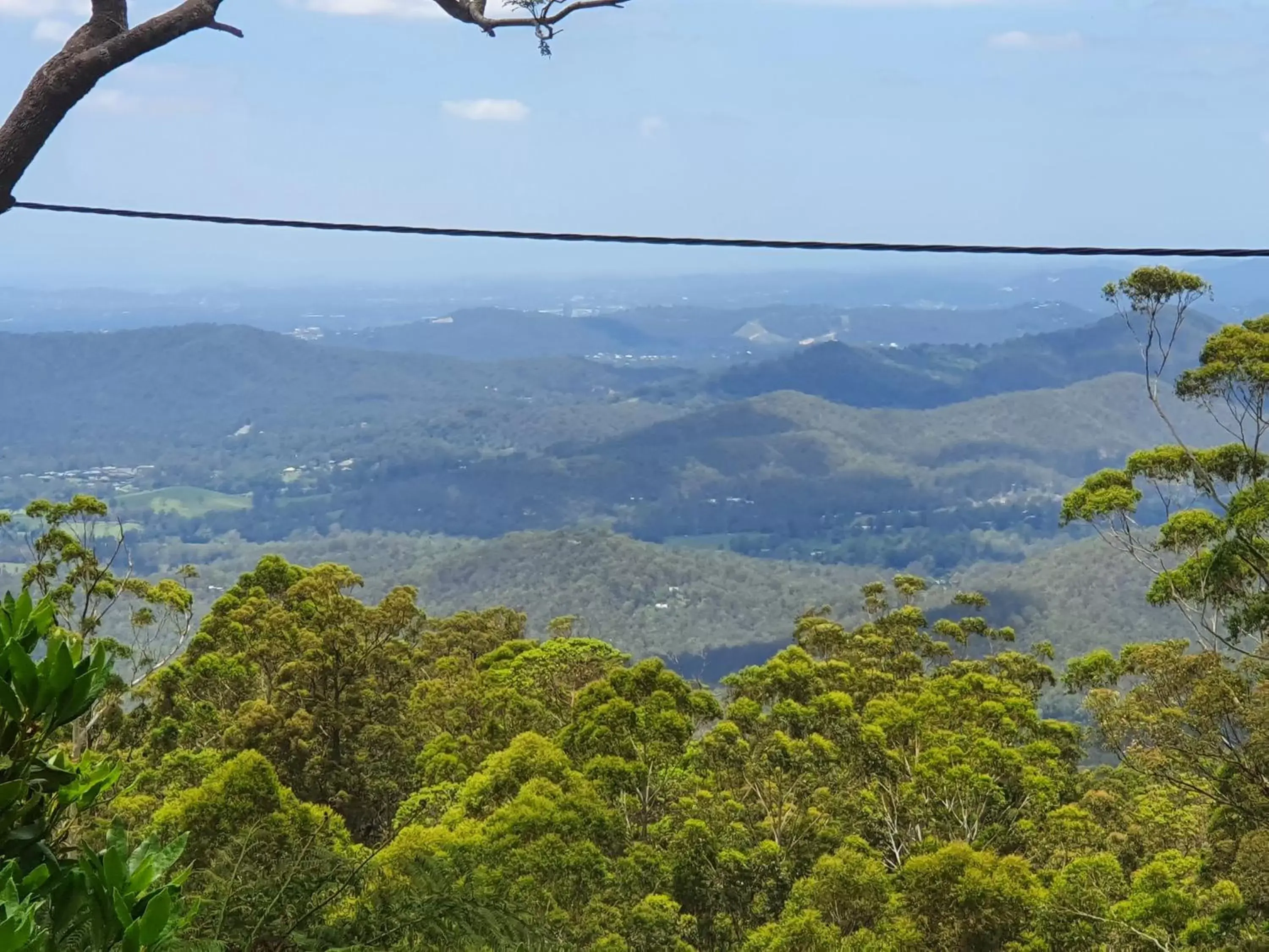 Mountain View in Tamborine Mountain Bed and Breakfast