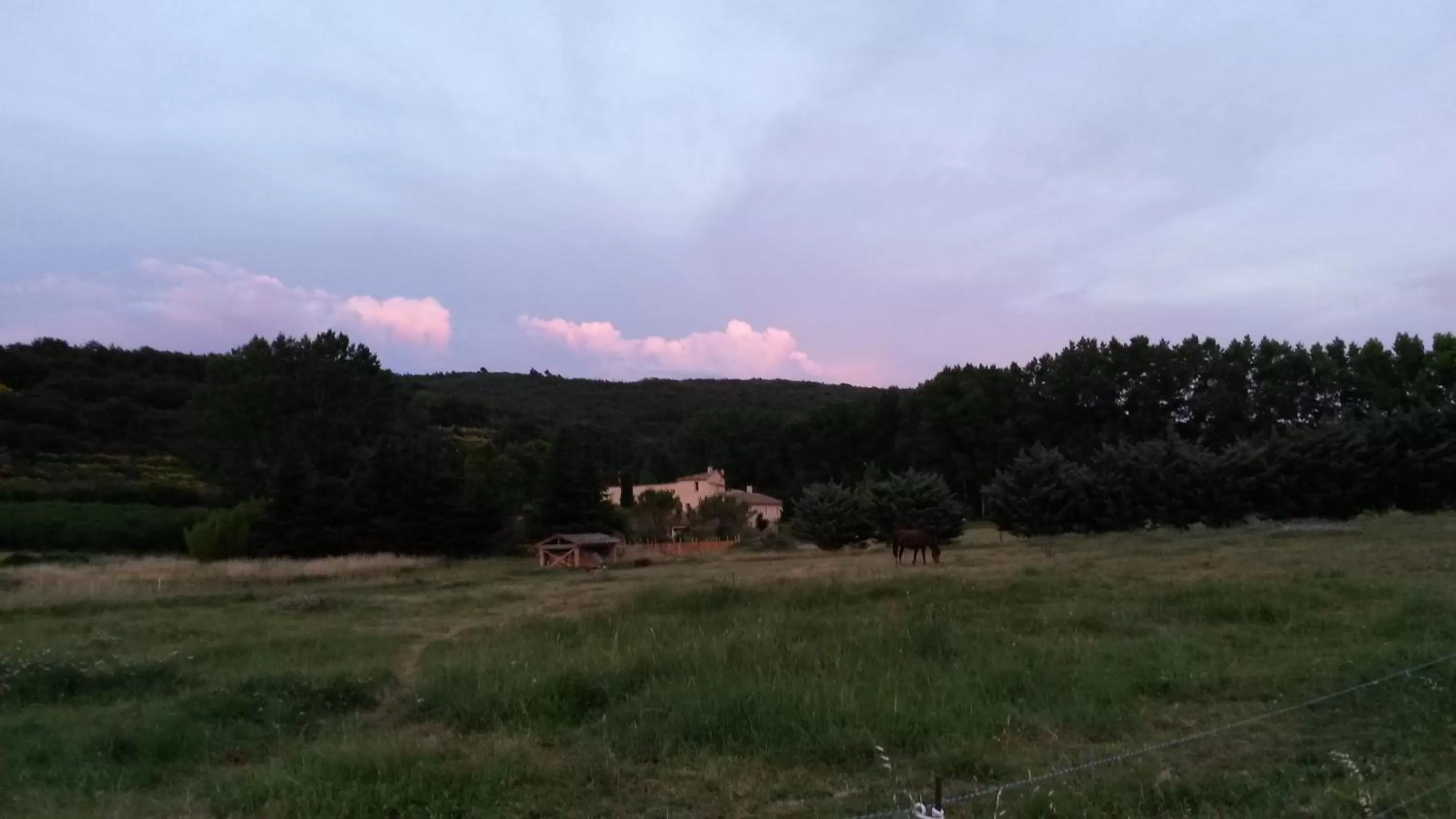 Garden view in Chambres d'Hôtes Aux Tournesols