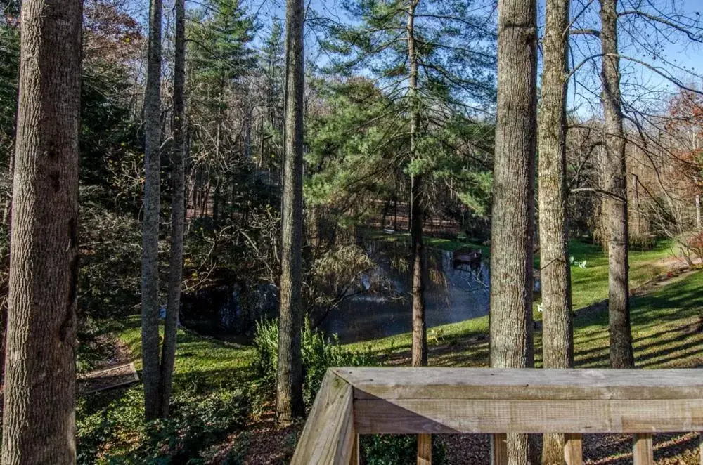 Mountain view in Asheville Cabins of Willow Winds