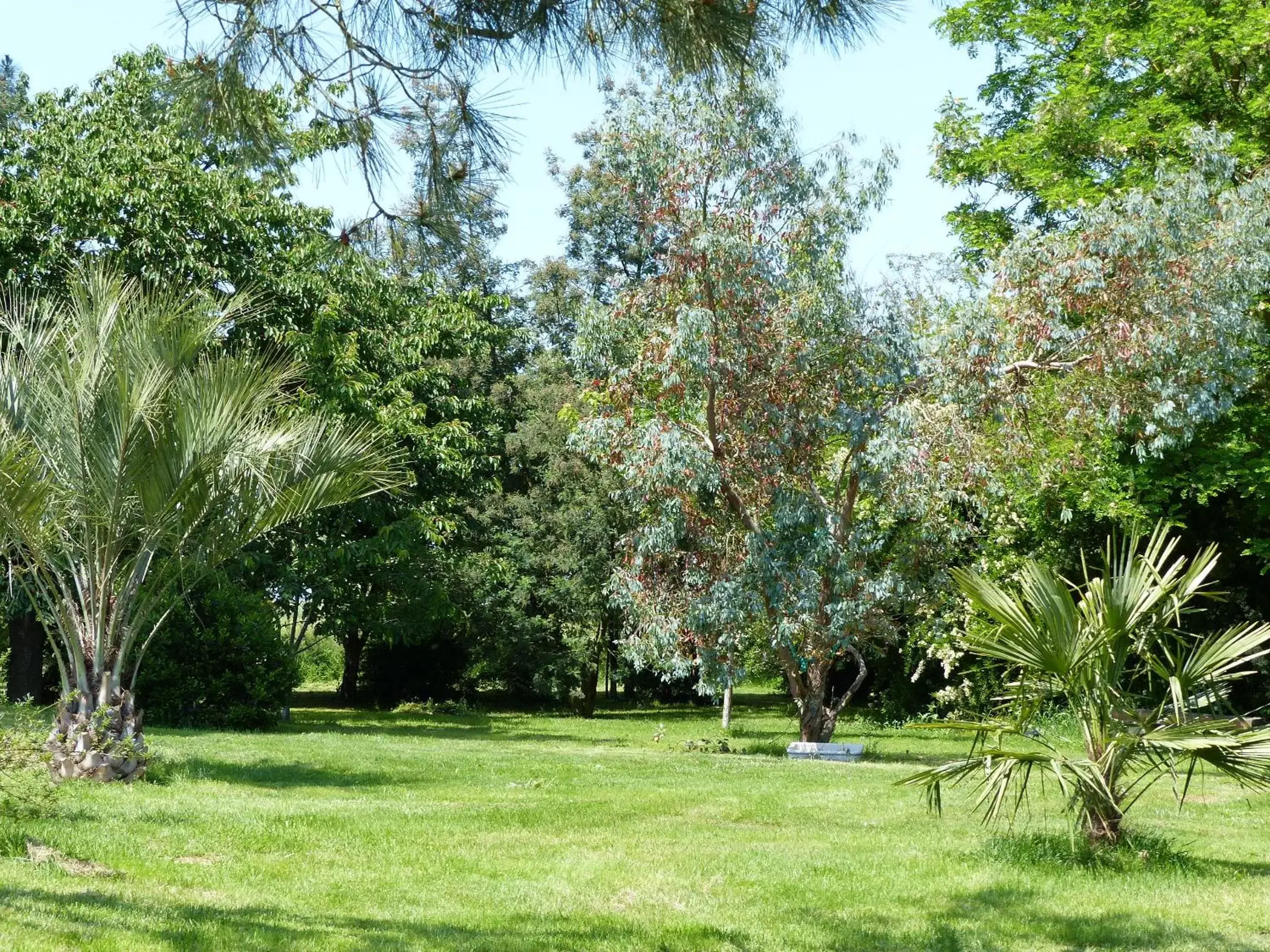 Property building, Garden in Les Terrasses des Mimosas