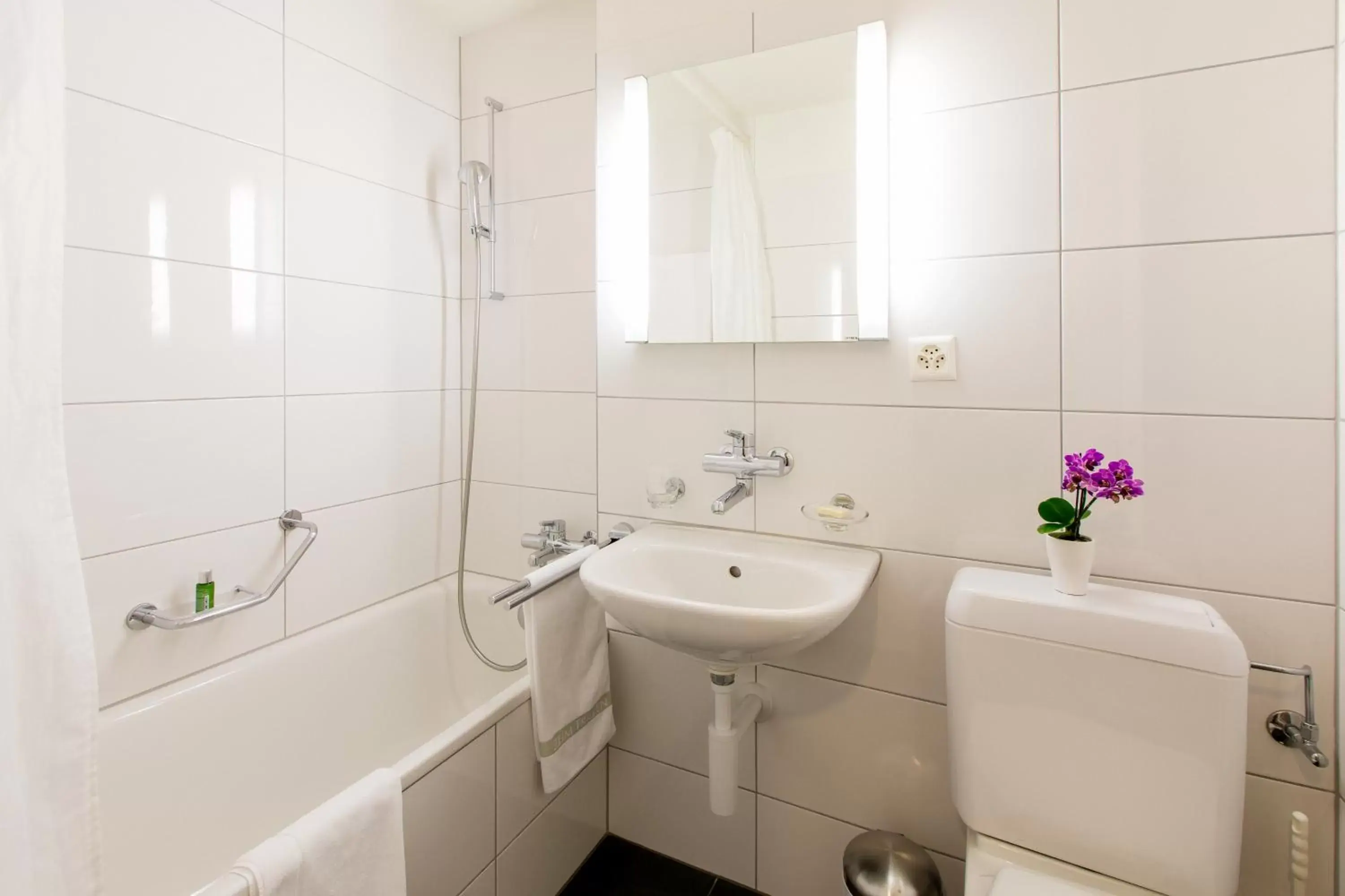 Toilet, Bathroom in Apartmenthaus zum Trillen Basel City Center