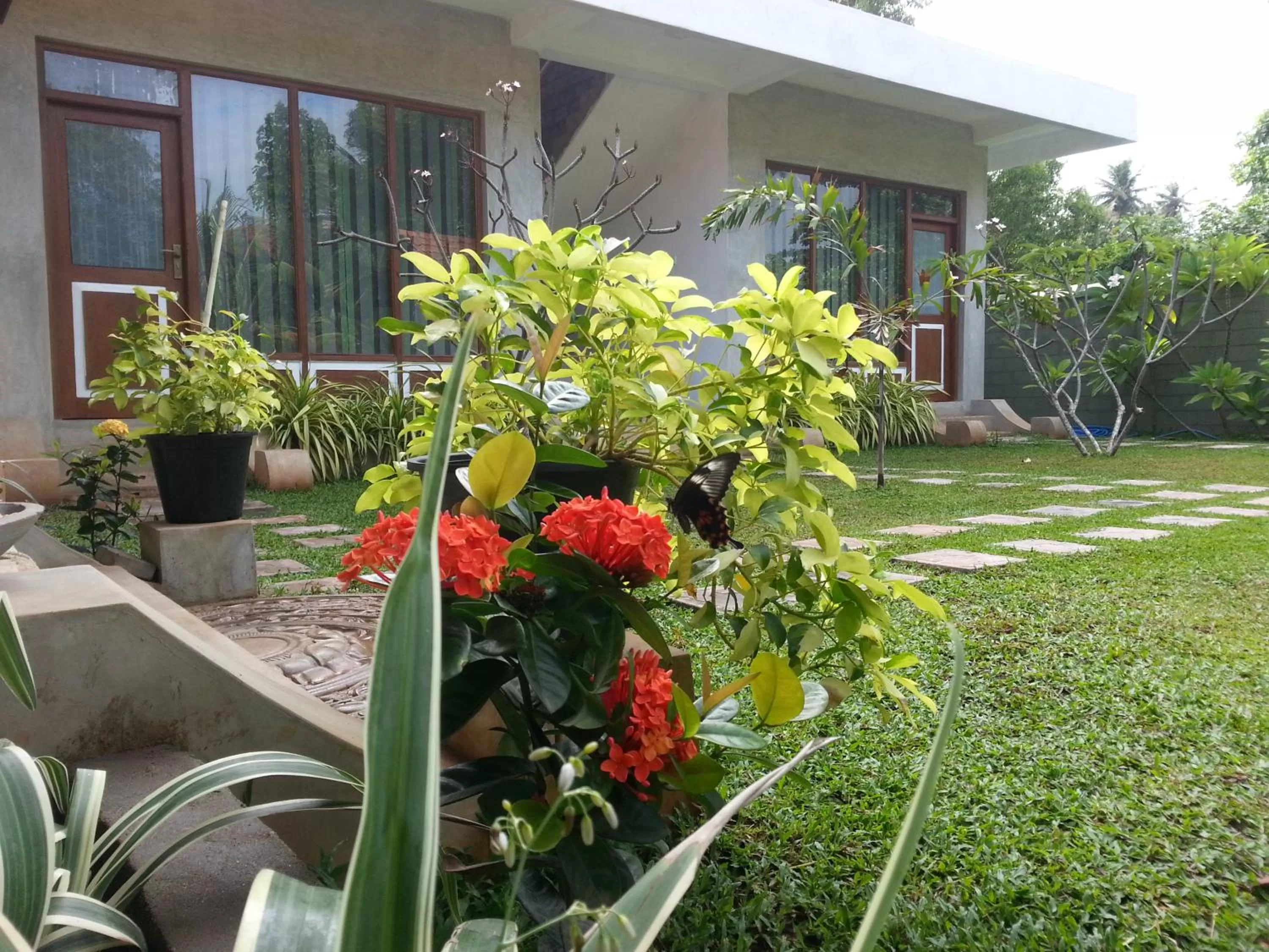 Bird's eye view in Green Wood Villa Negombo