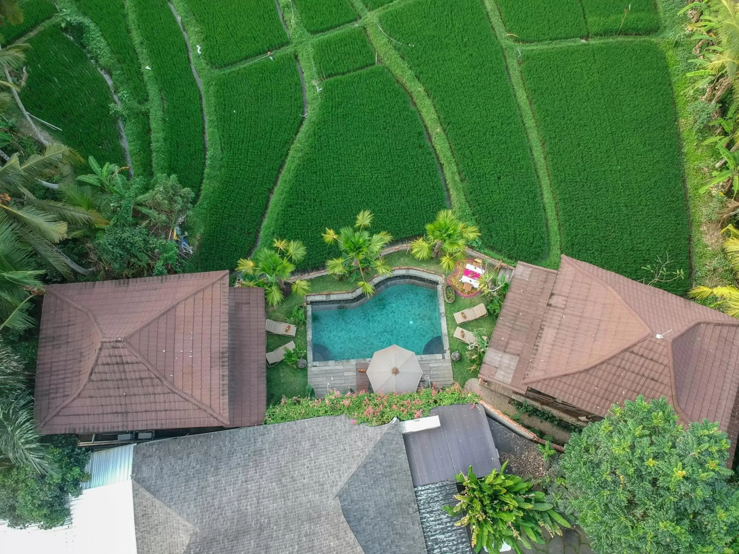Property building, Bird's-eye View in Gusde Tranquil Villas by EPS