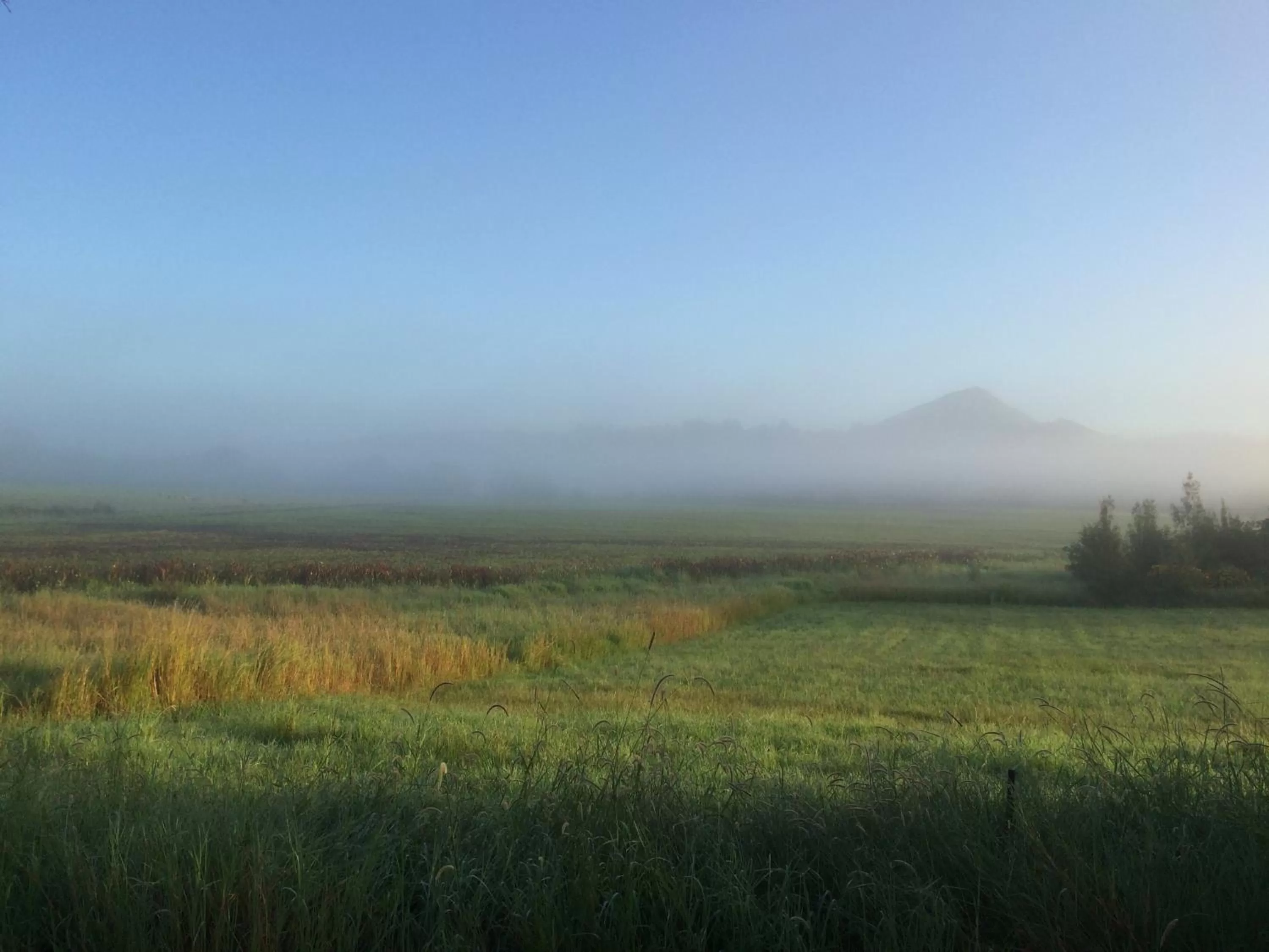 Other in Gridley Homestead B&B