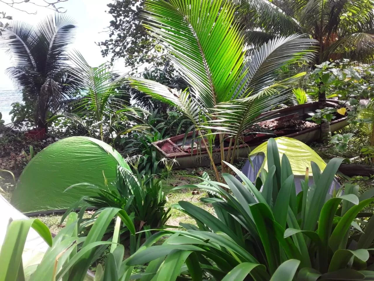 Port Antonio Brian's Beach House