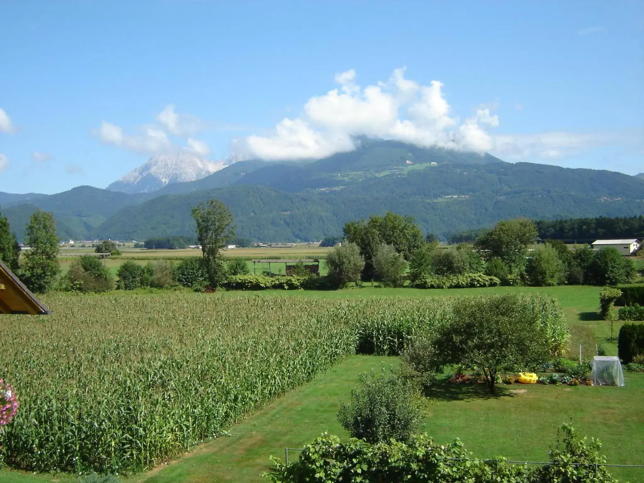 Studio with Balcony in Rooms & Apartments Jana Studio with Balcony in Rooms & Apartments Jana