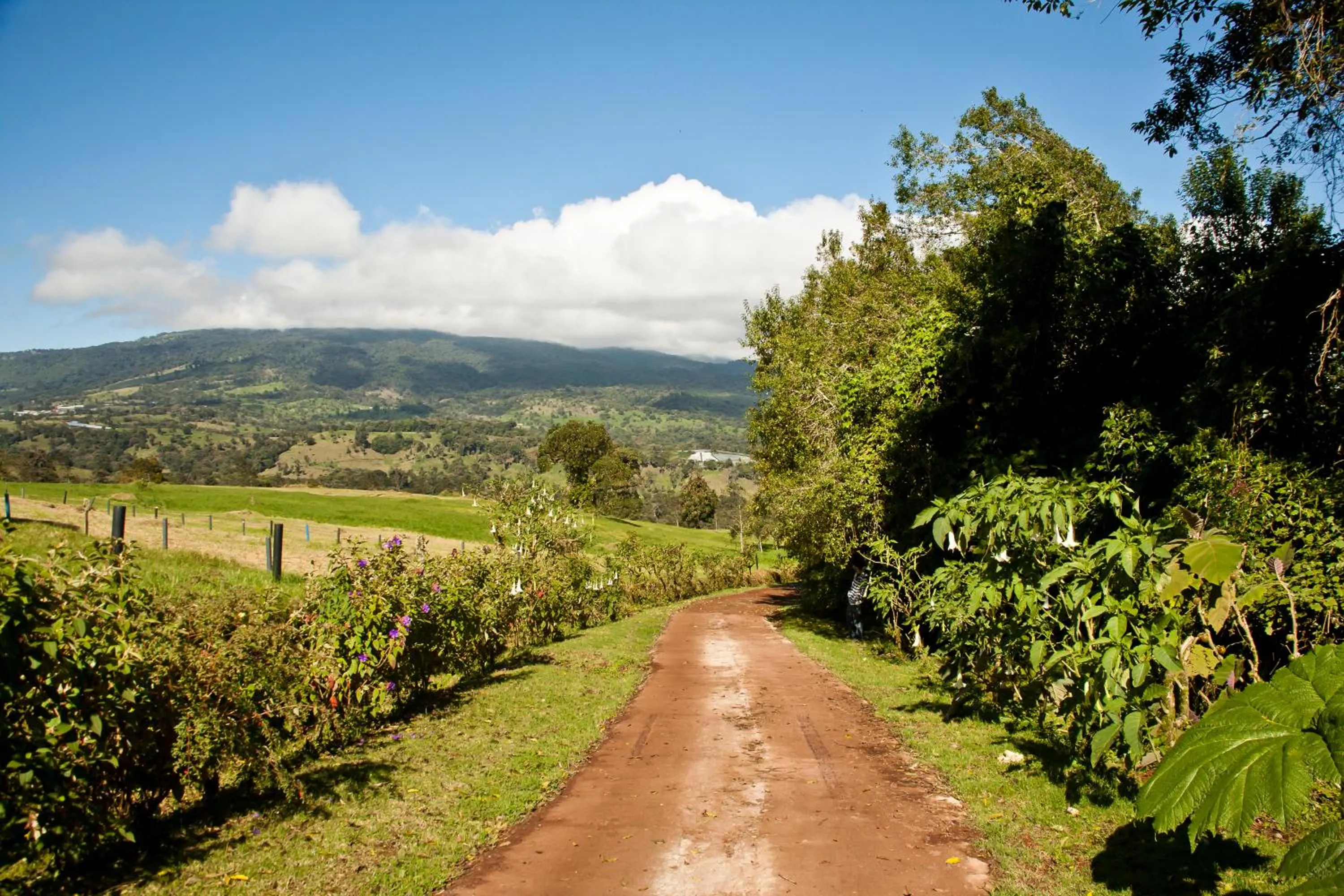 Facade/entrance in Poas Volcano Lodge