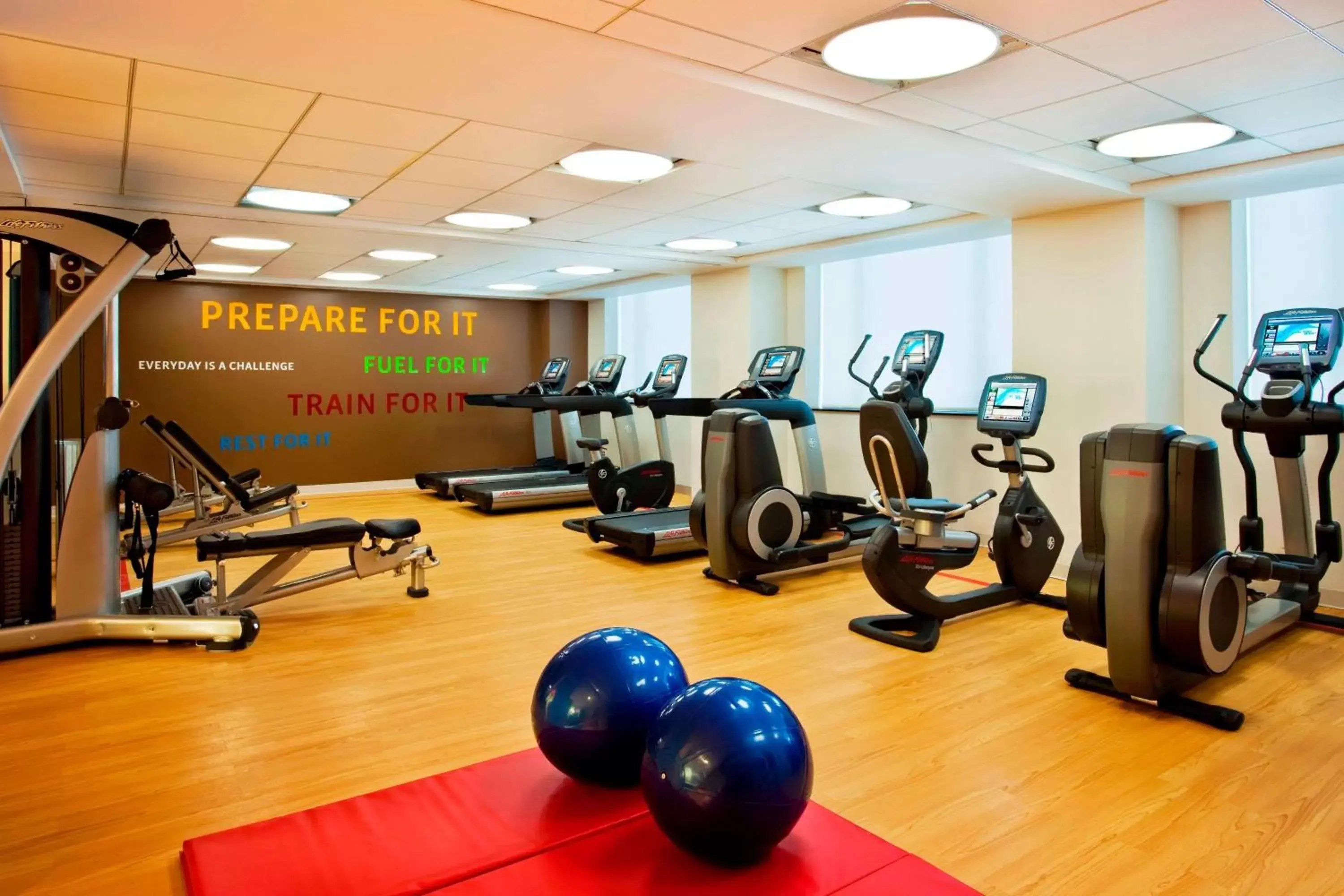 Fitness centre/facilities, Fitness Center/Facilities in Sheraton Brooklyn New York