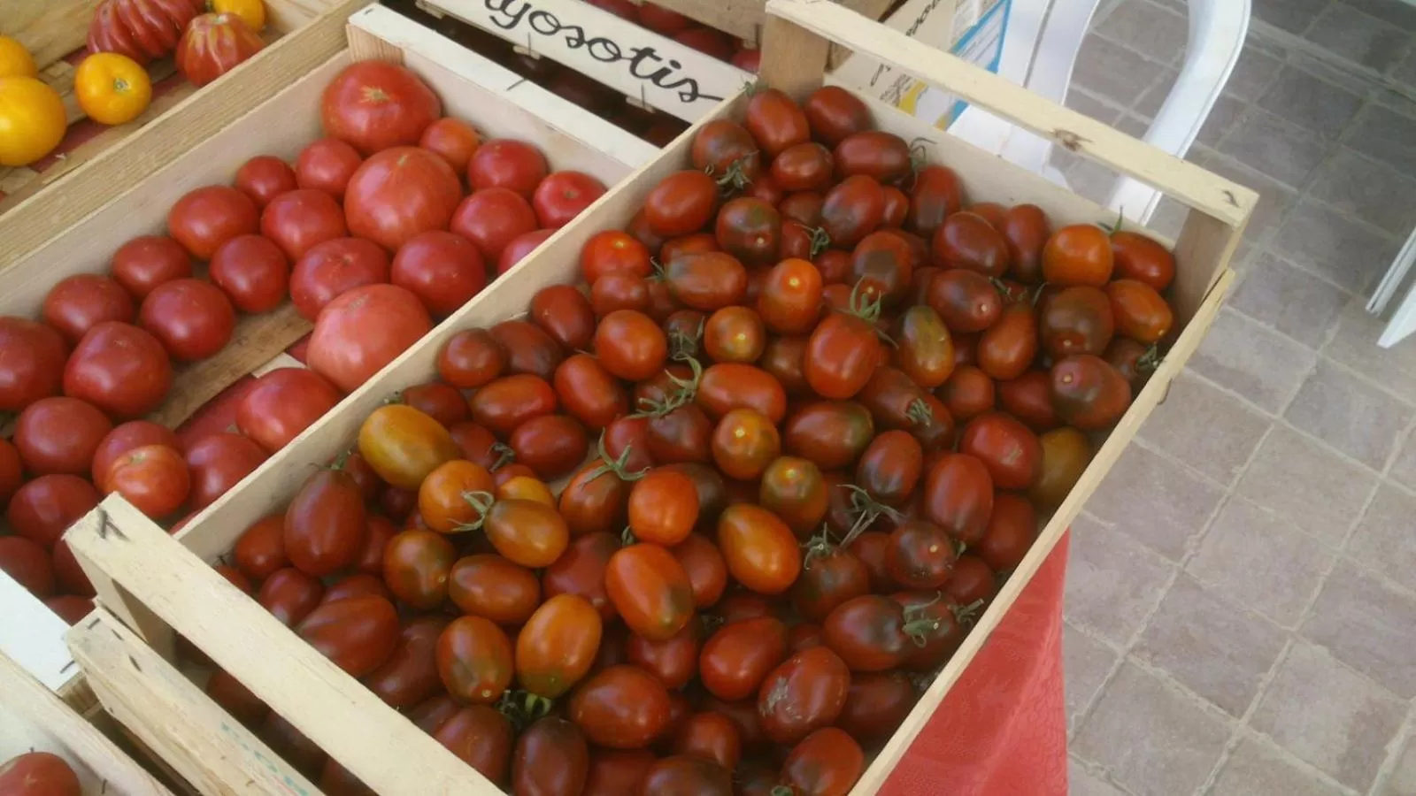 Les Verveines de Vaison
