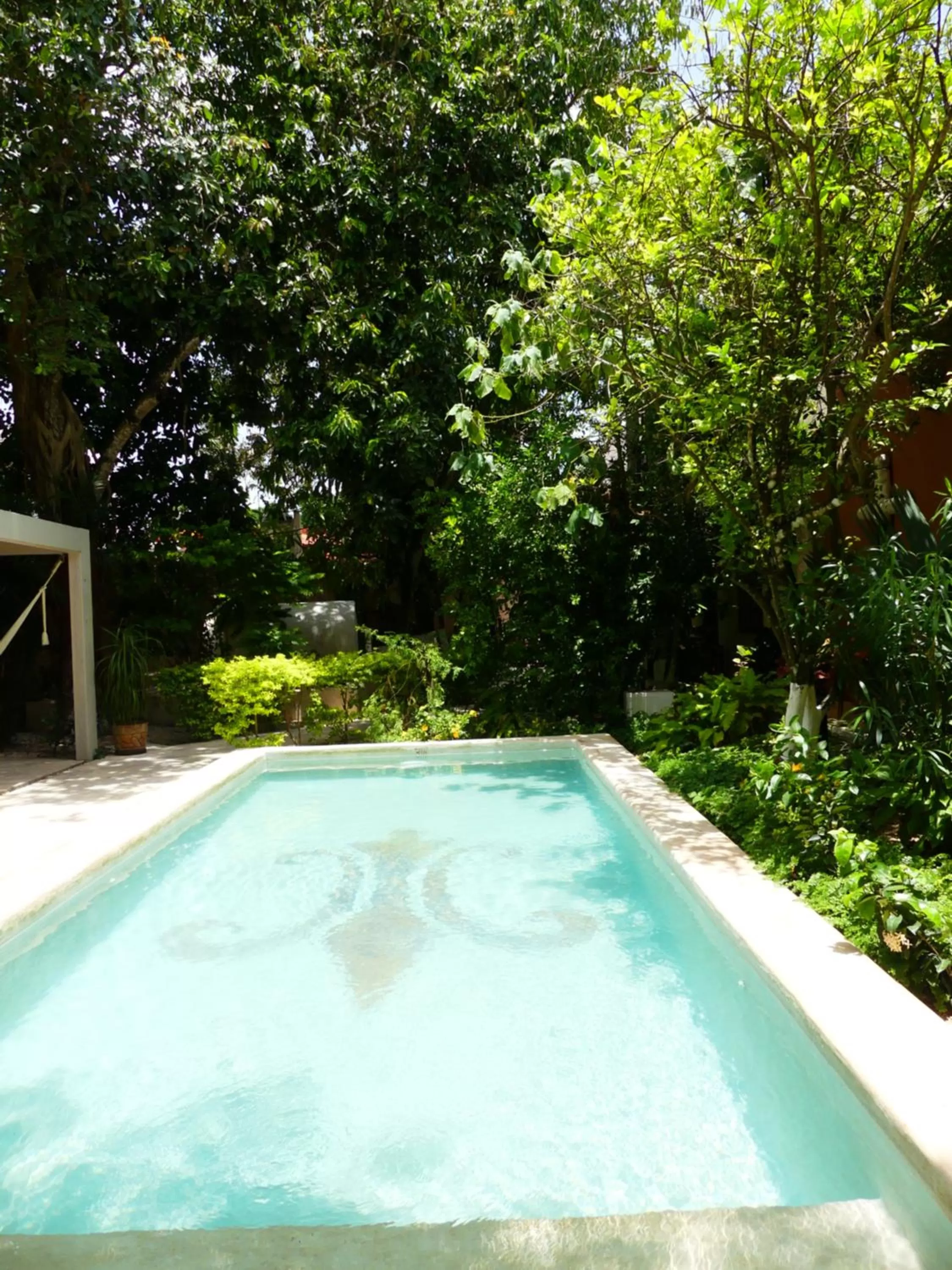 Garden in Casa Valladolid Boutique Hotel