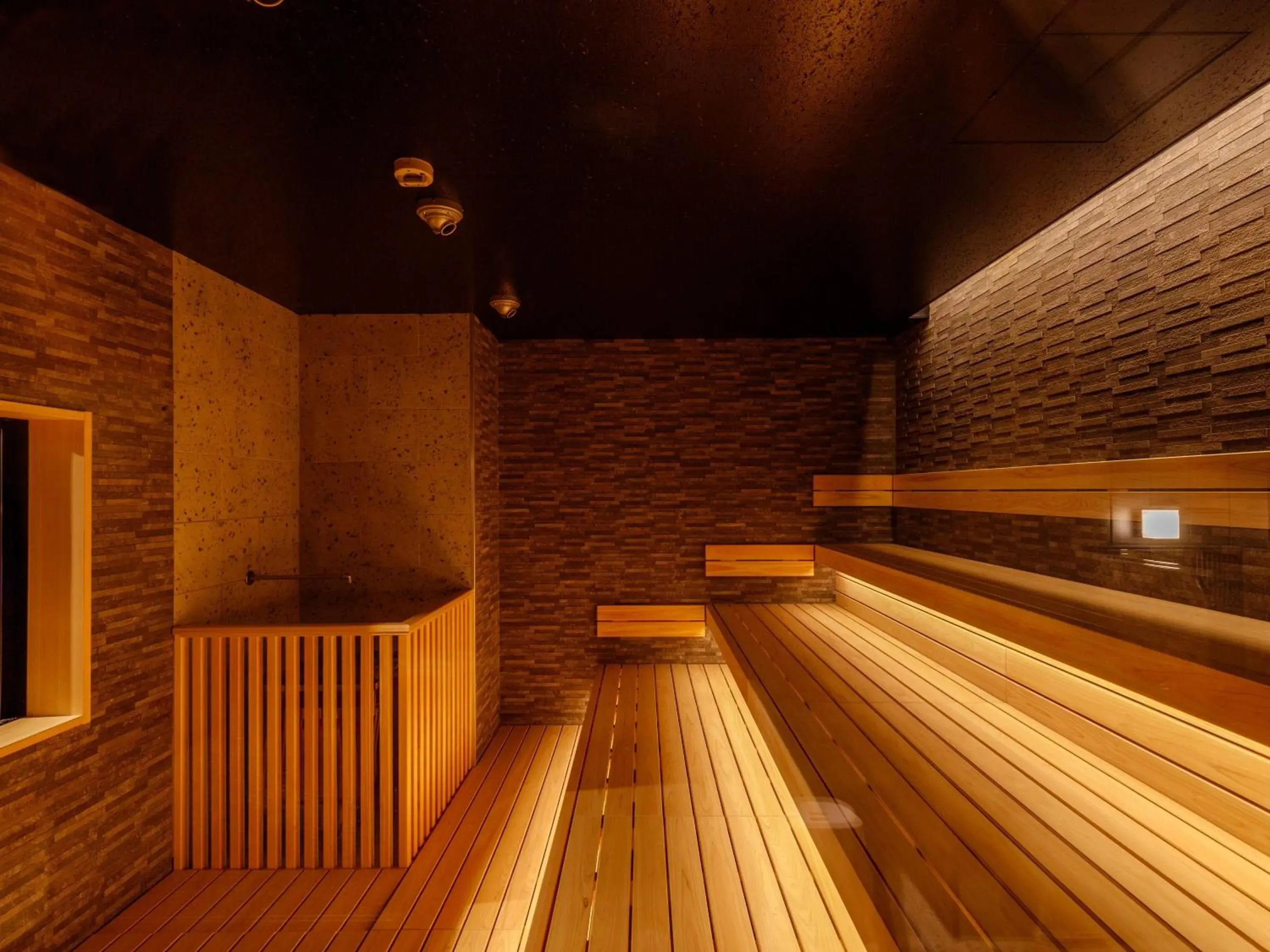 Sauna in Apa Hotel Toyama