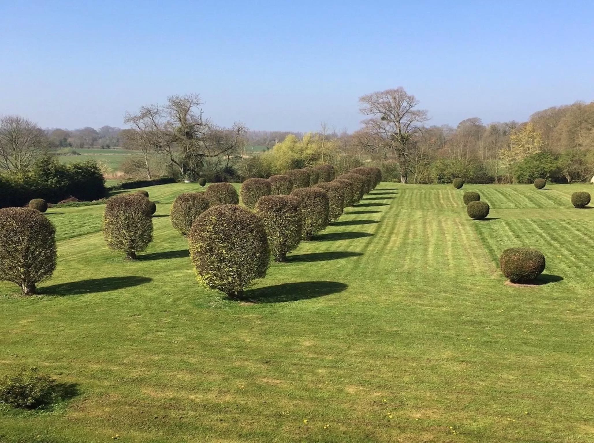 Garden view in Le Château d'Asnières en Bessin