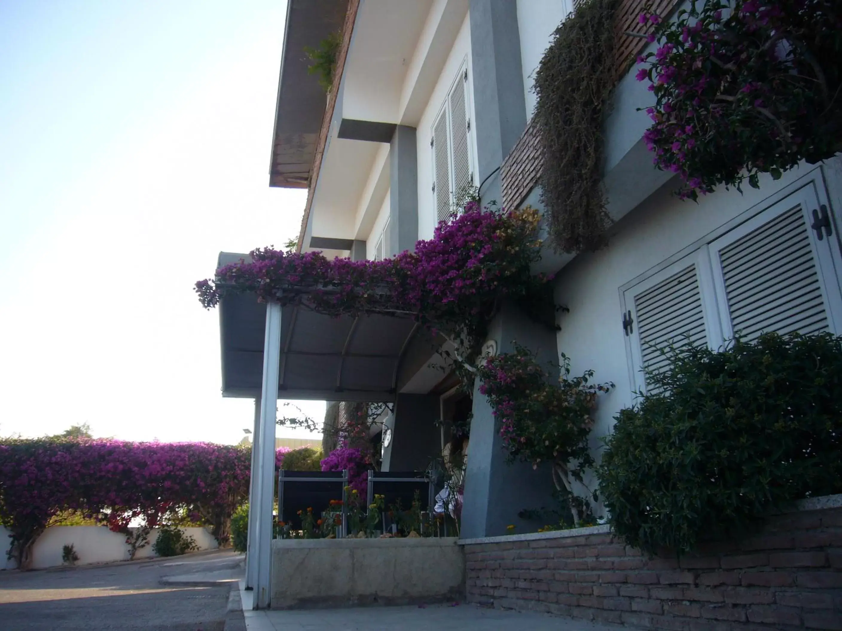 Facade/entrance, Property Building in Hotel La Tripergola