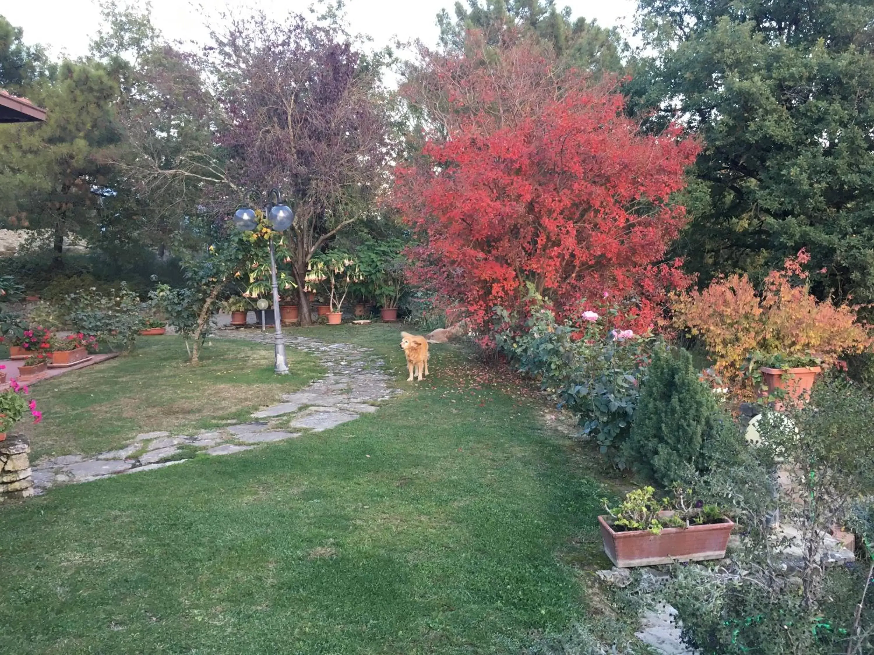 Garden in Villaspino