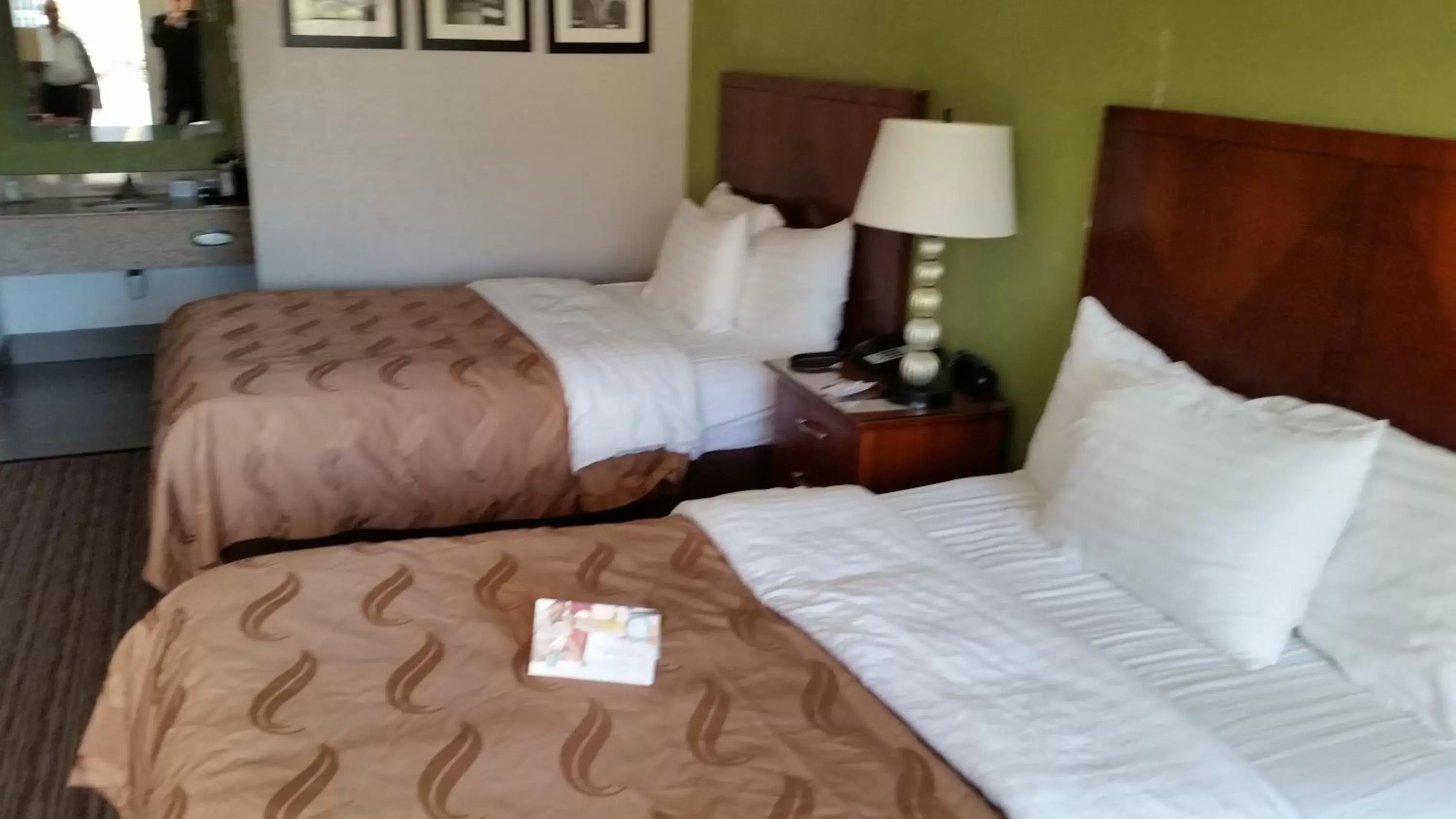 Photo of the whole room, Bed in Quality Inn Forsyth