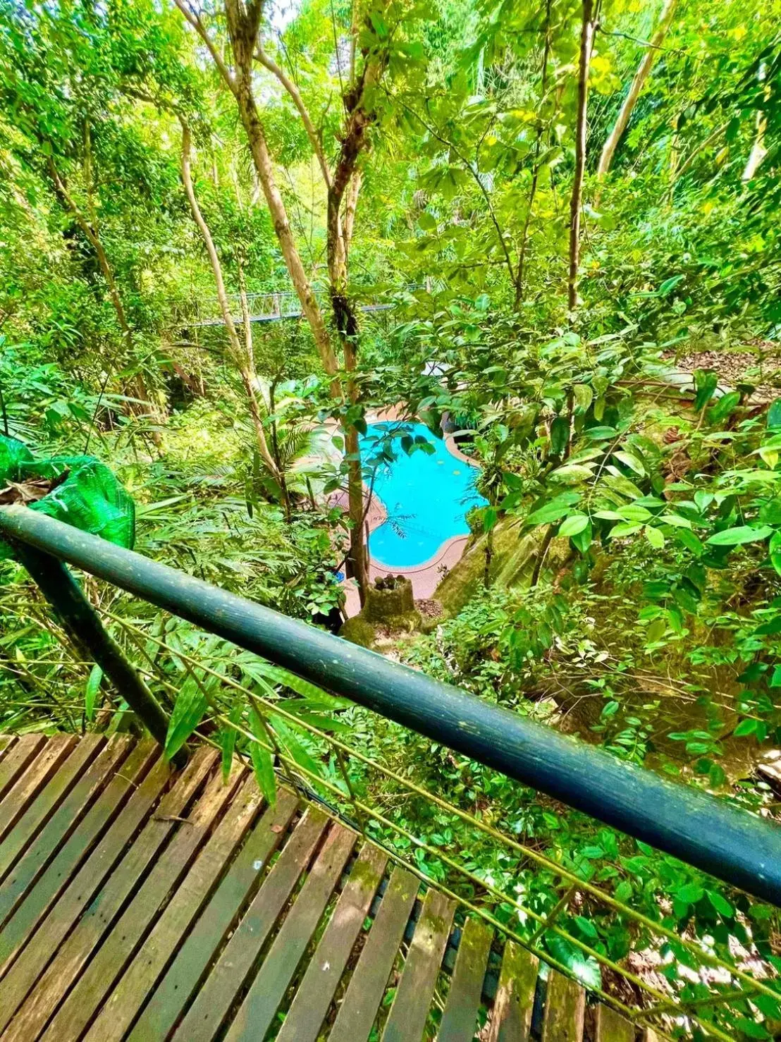 Swimming pool in Khao Sok Tree House Resort