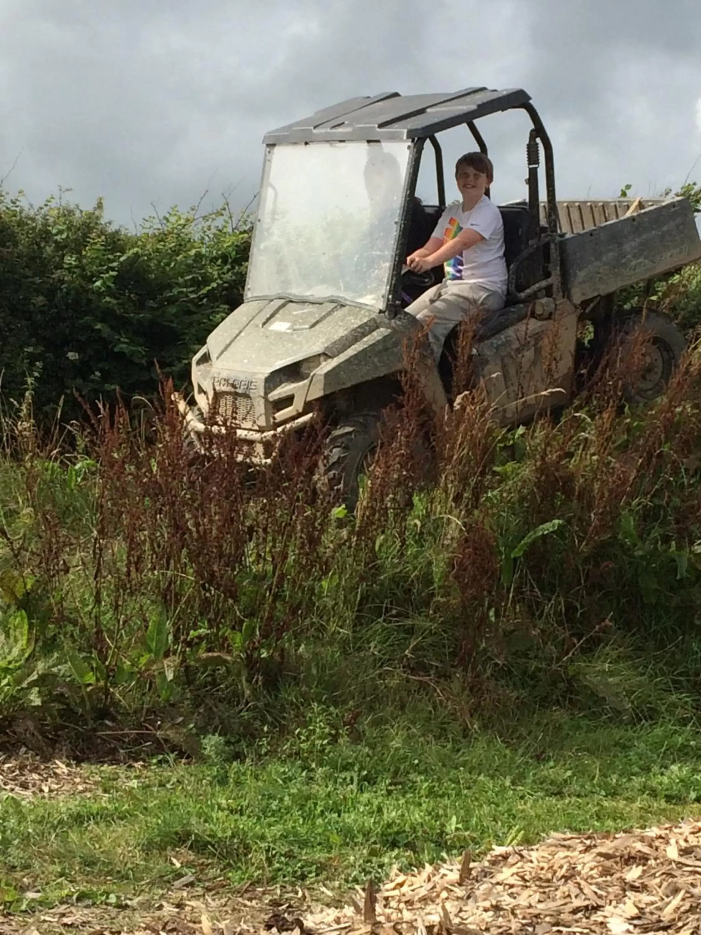 Activities, Garden in Barton Gate Farm B&B