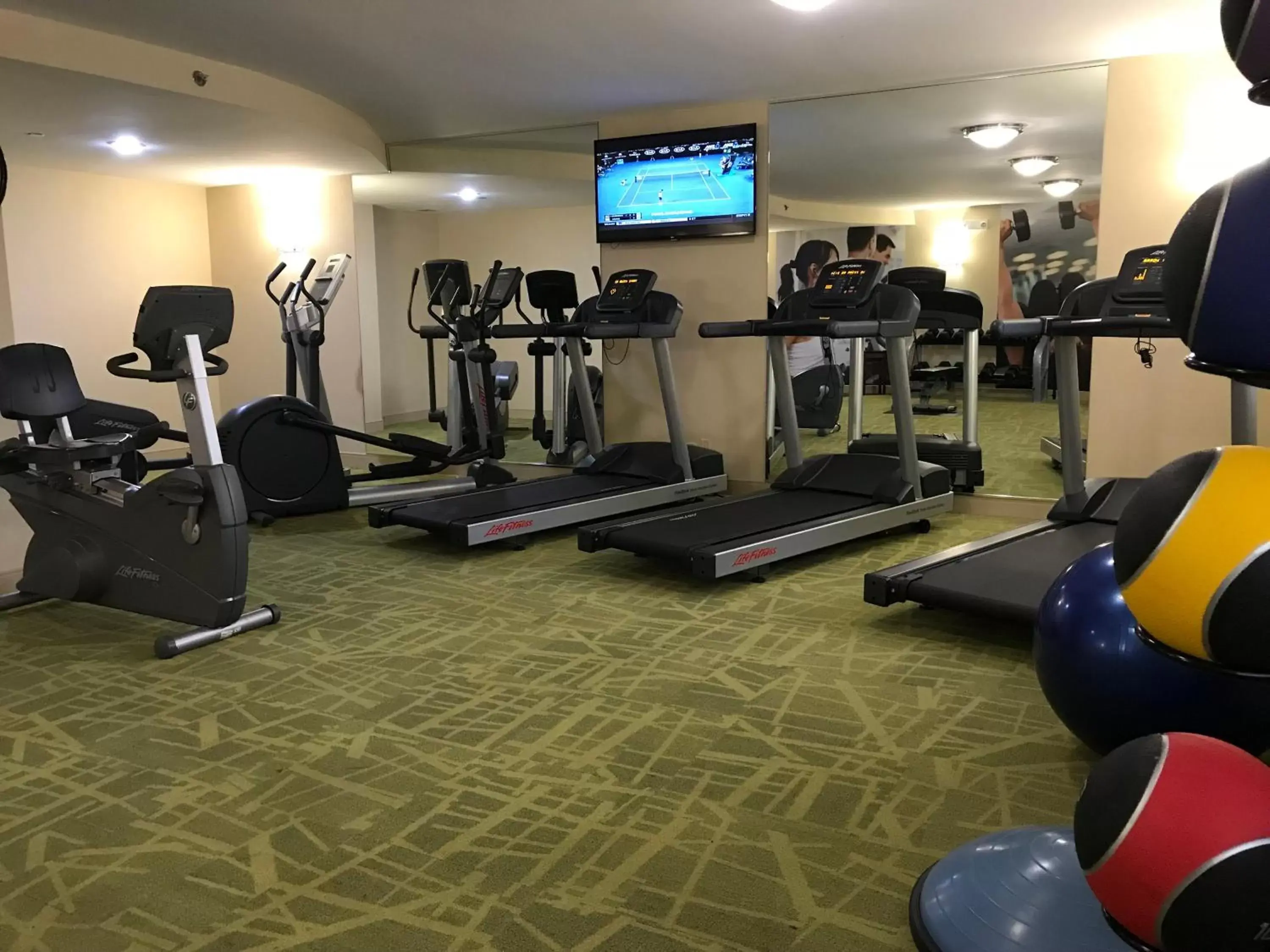 Fitness centre/facilities, Fitness Center/Facilities in Holiday Inn & Suites Chicago-Carol Stream Wheaton, an IHG Hotel