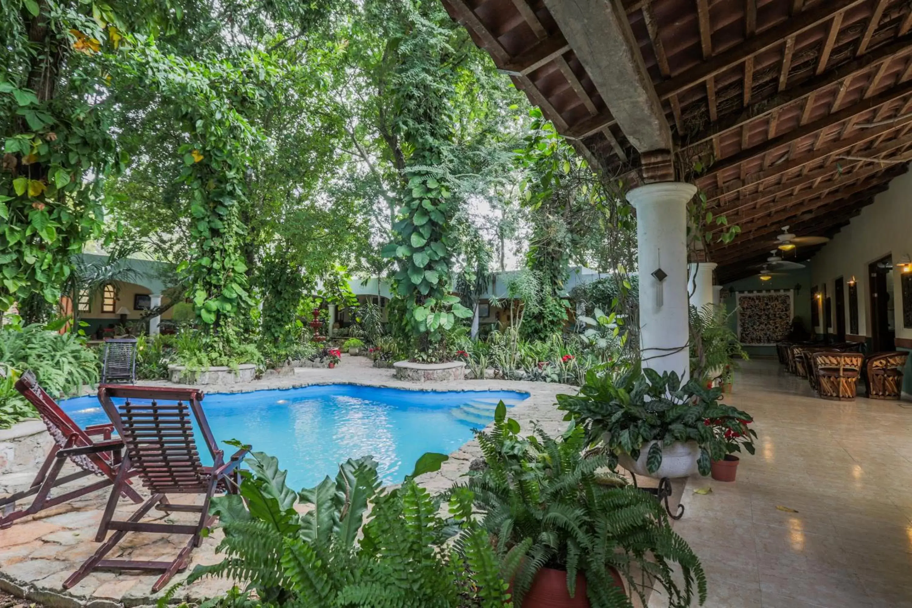 Pool view, Swimming Pool in Casa Quetzal Hotel