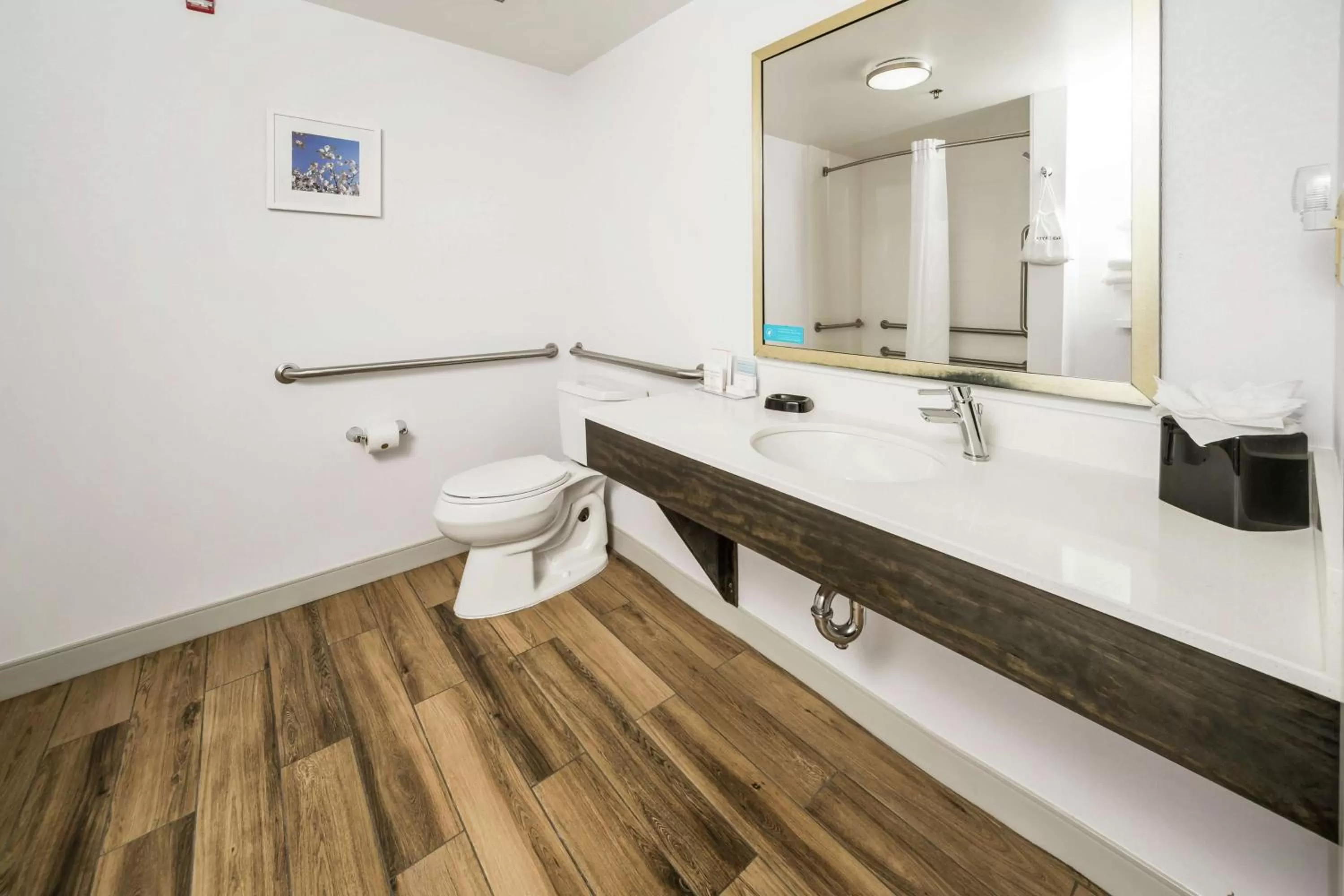 Bathroom in Hampton Inn Wilson Downtown