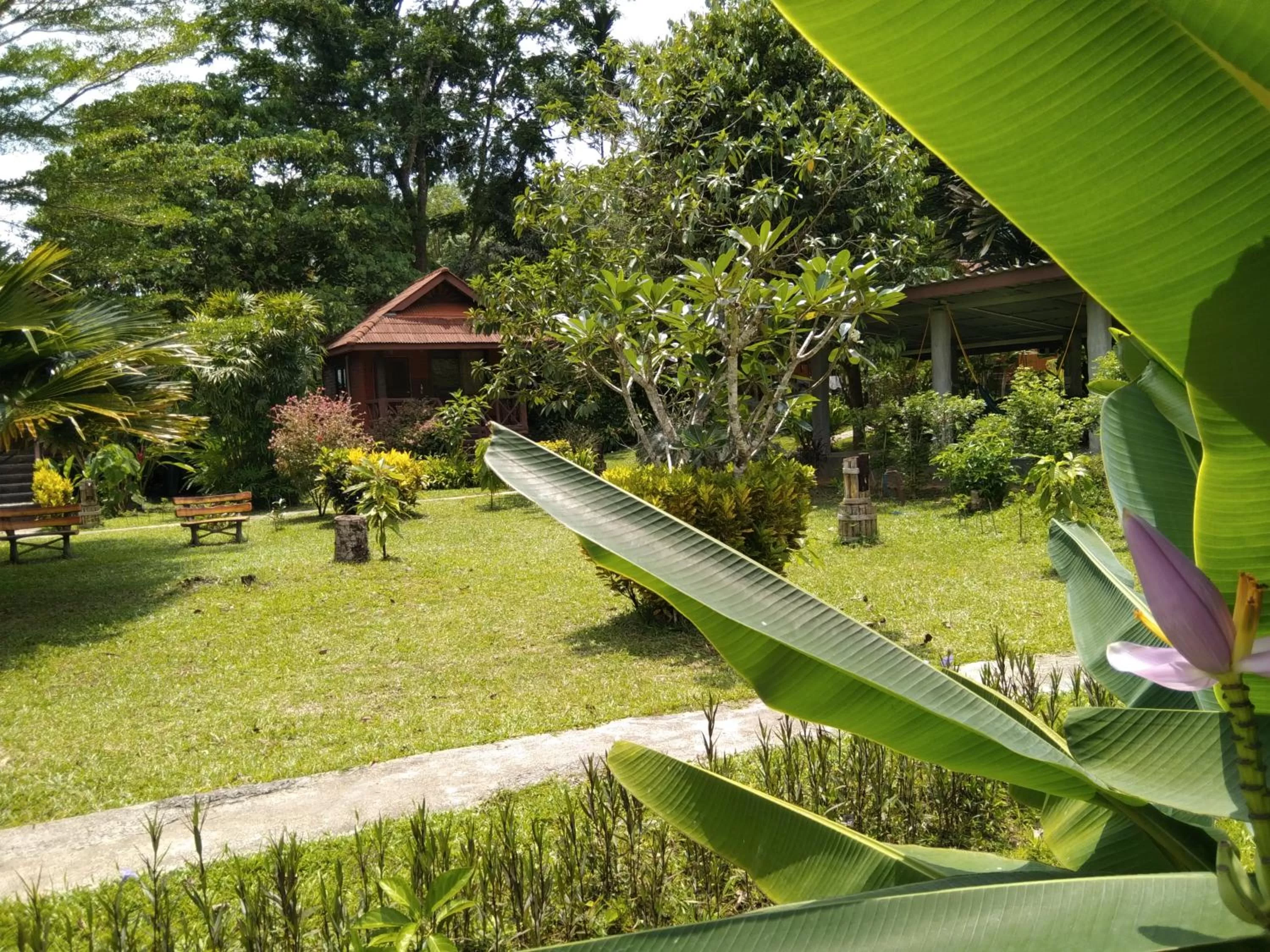 Garden in Khao Sok River & Jungle Resort