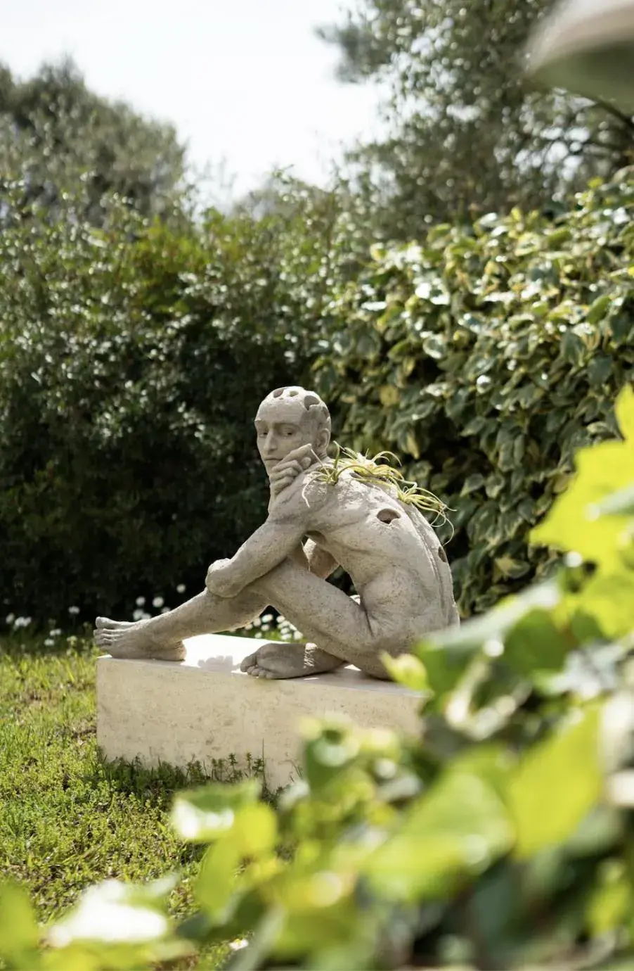 Garden in Hotel Restaurant La Vague de Saint Paul & Spa