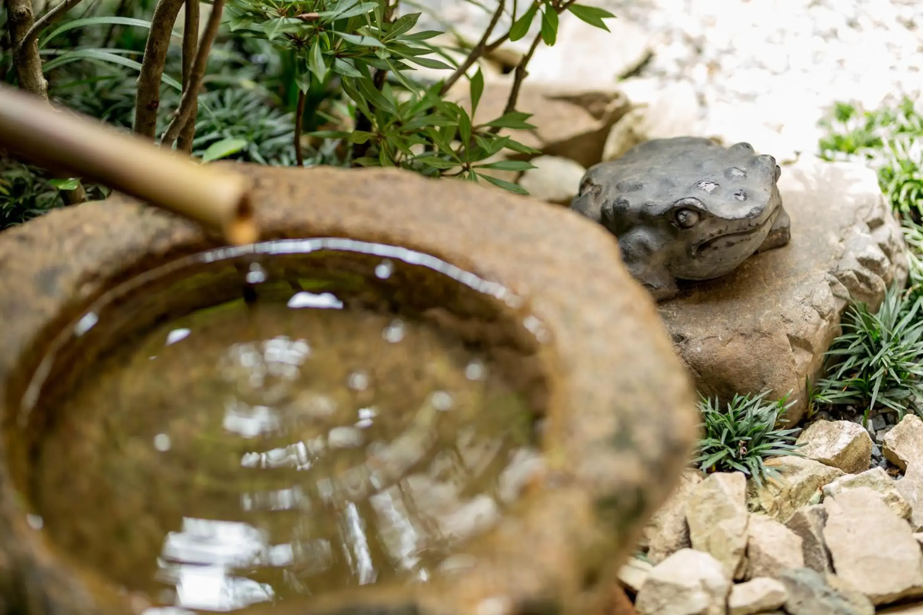 Garden, Other Animals in RESI STAY NISHIKI